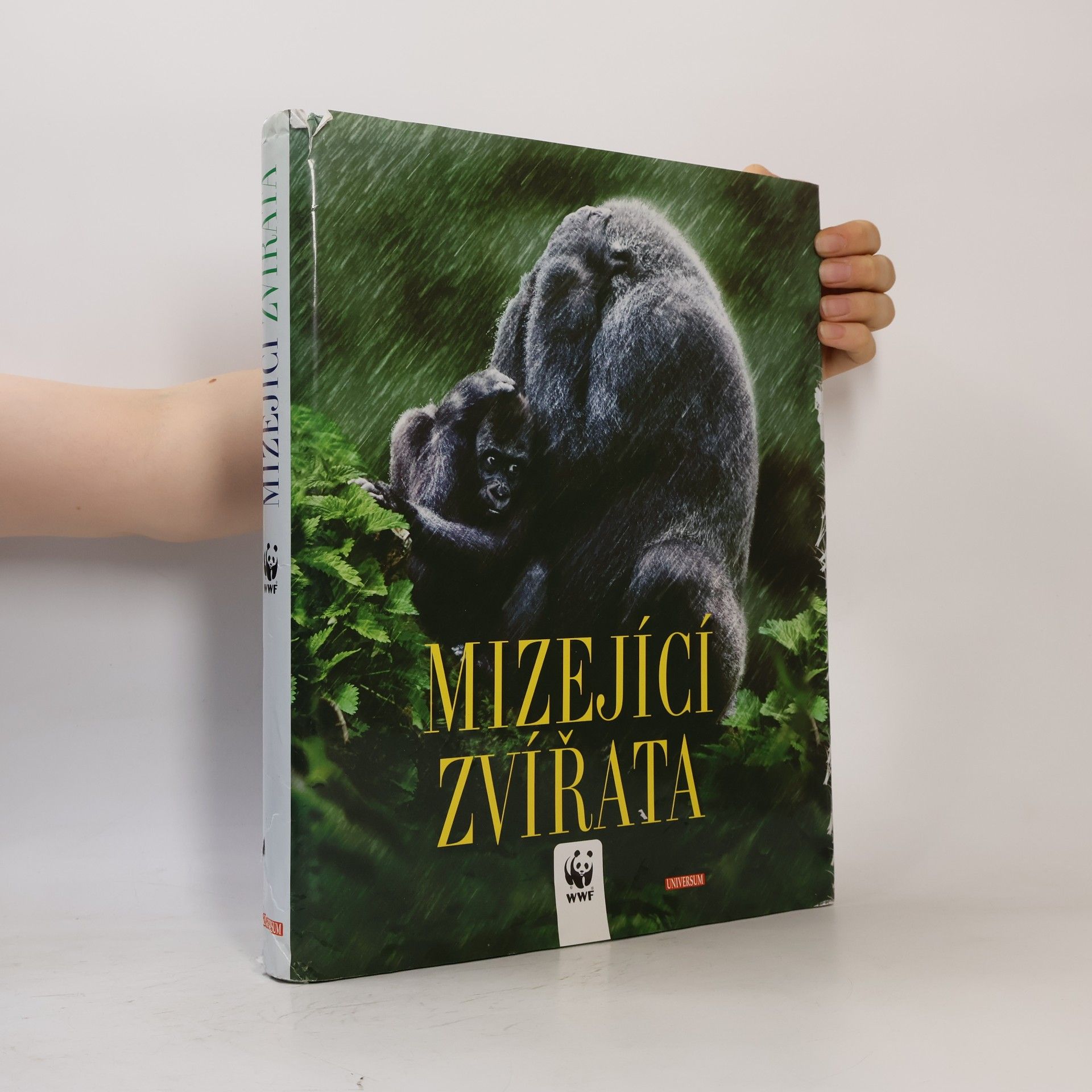 Valeria Manferto De Fabianis Mizející zvířata