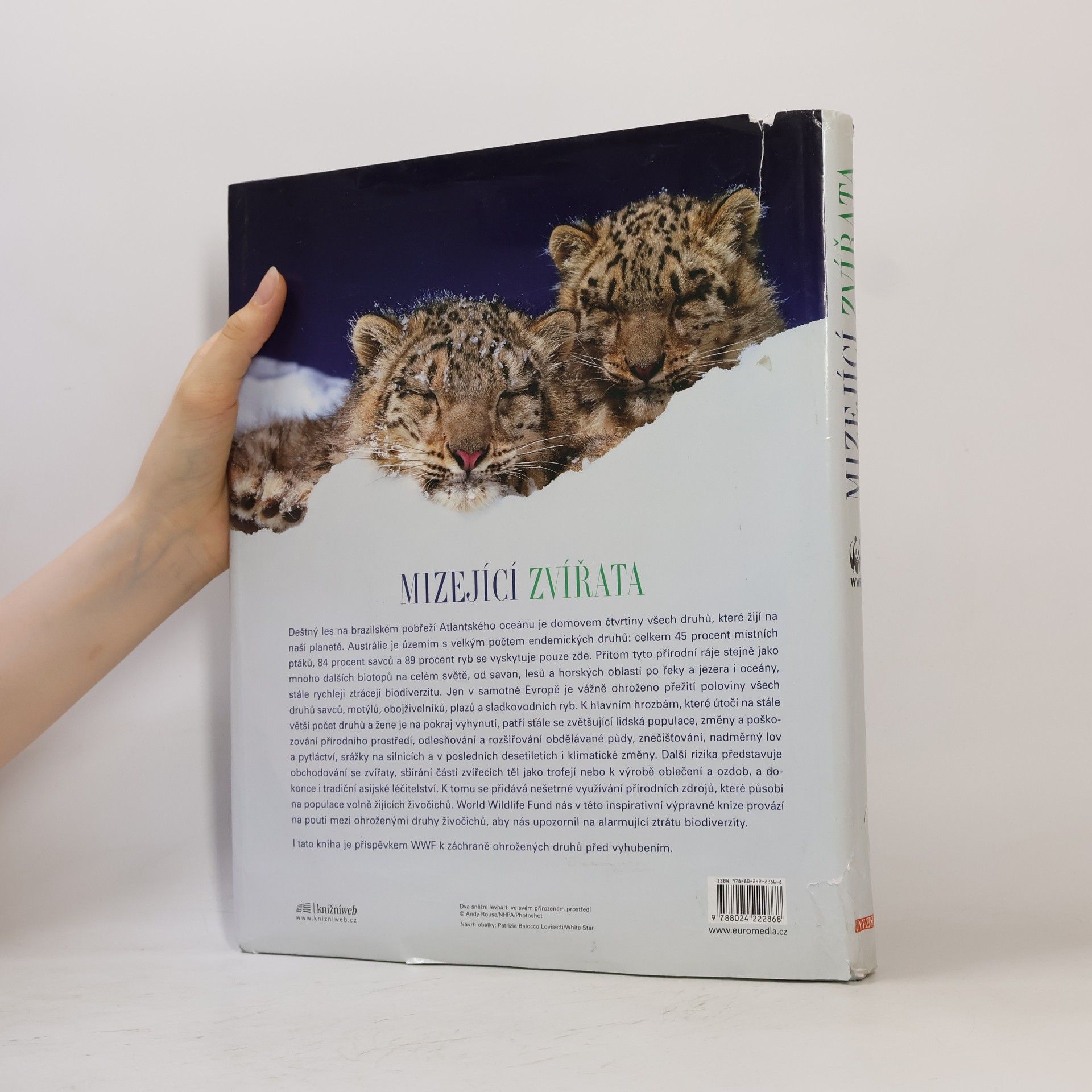 Valeria Manferto De Fabianis Mizející zvířata