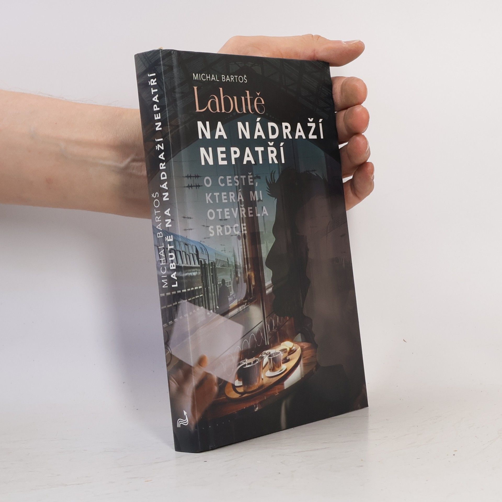 Labutě na nádraží nepatří