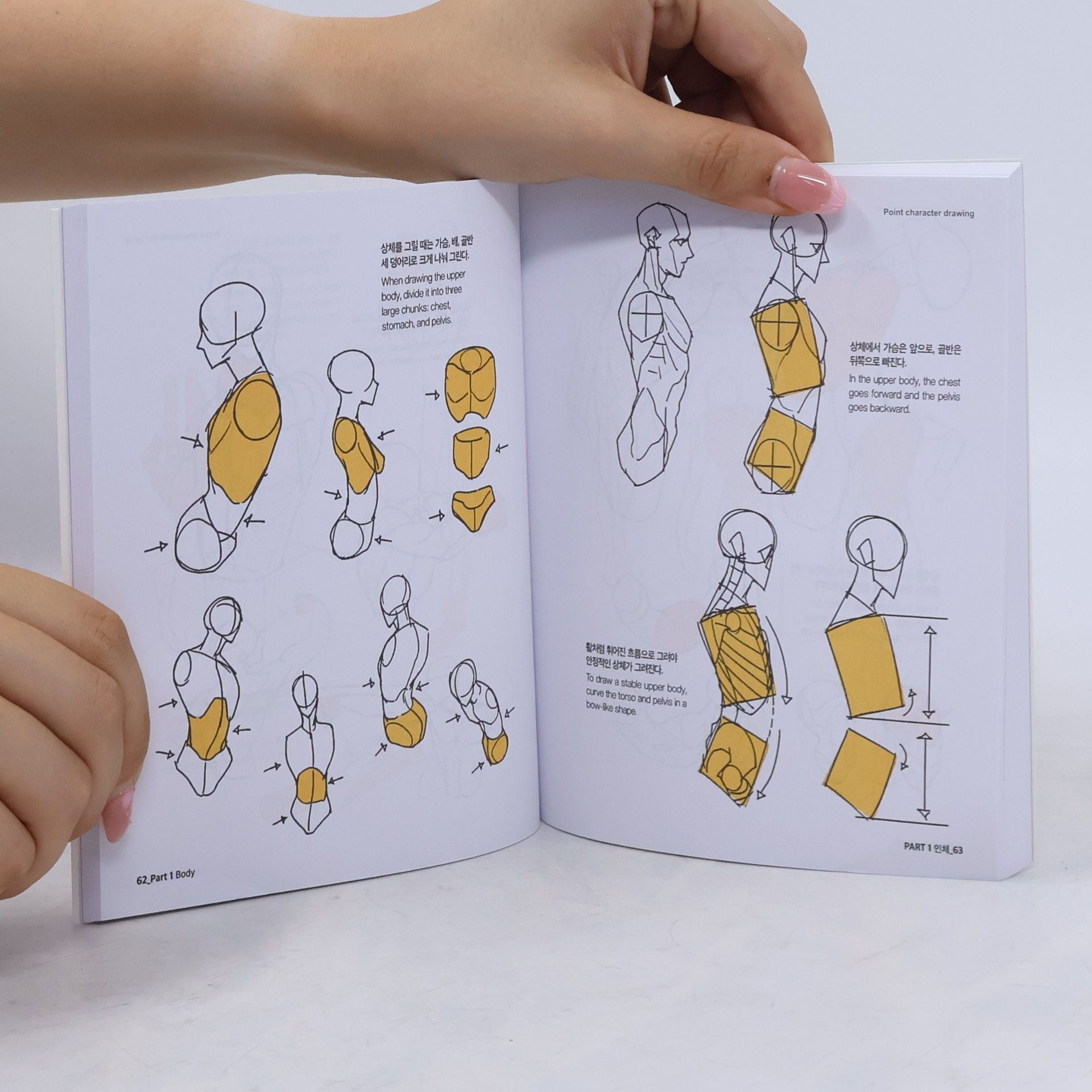 TACO 포인트 캐릭터 드로잉 1. Point Character Drawing 1
