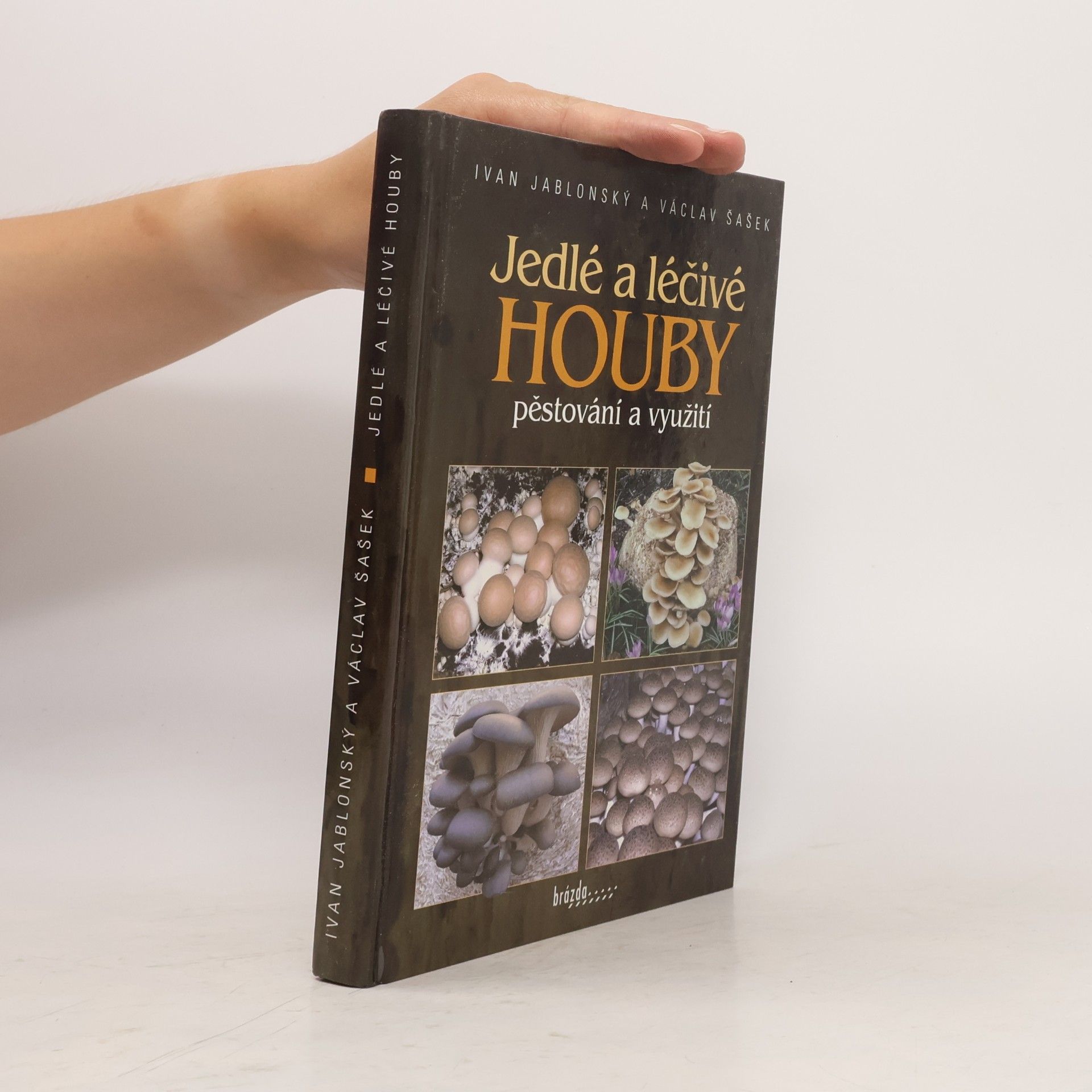 Václav Šašek Jedlé a léčivé houby