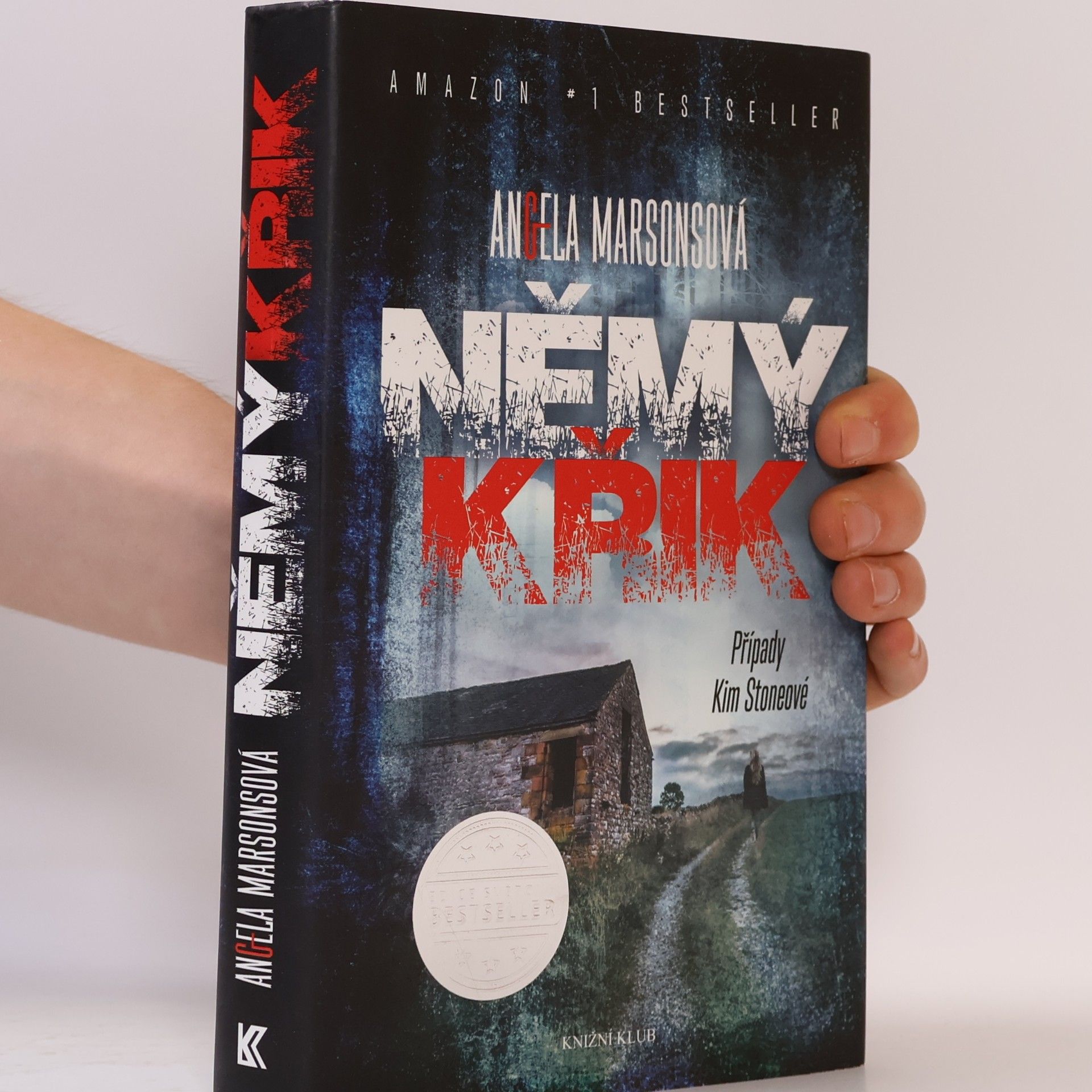 Angela Marsons Němý křik