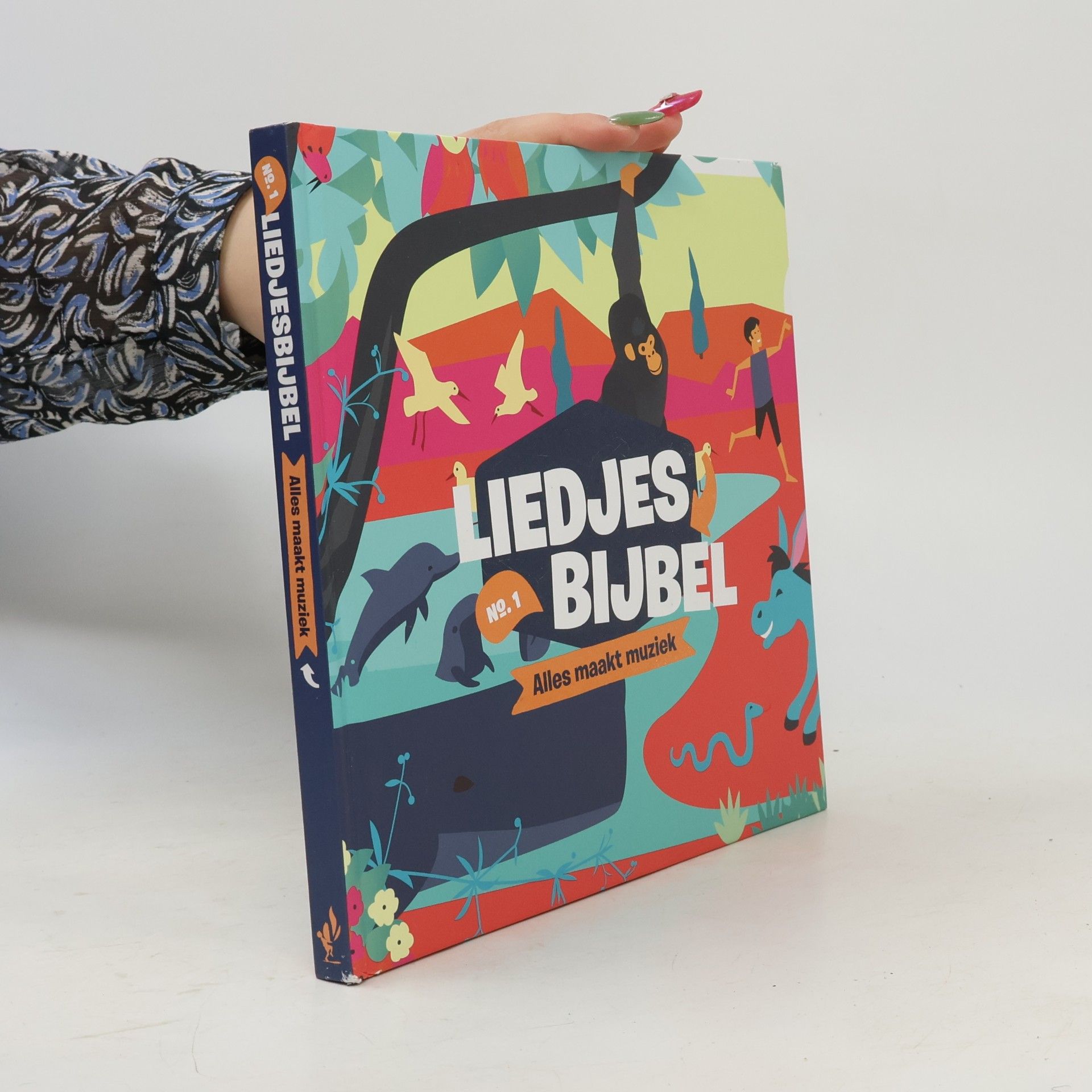 Dirk Reinier Sonneveld Liedjesbijbel
