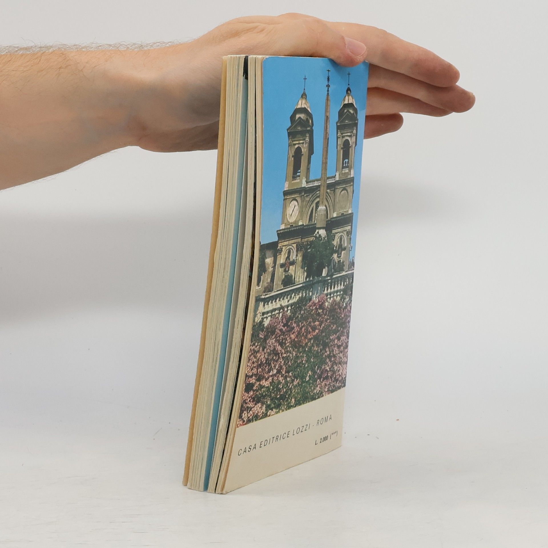 E. Venturini Rom und der Vatikan