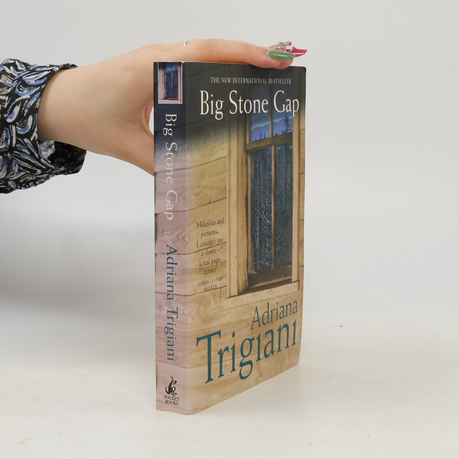Adriana Trigiani Big Stone Gap