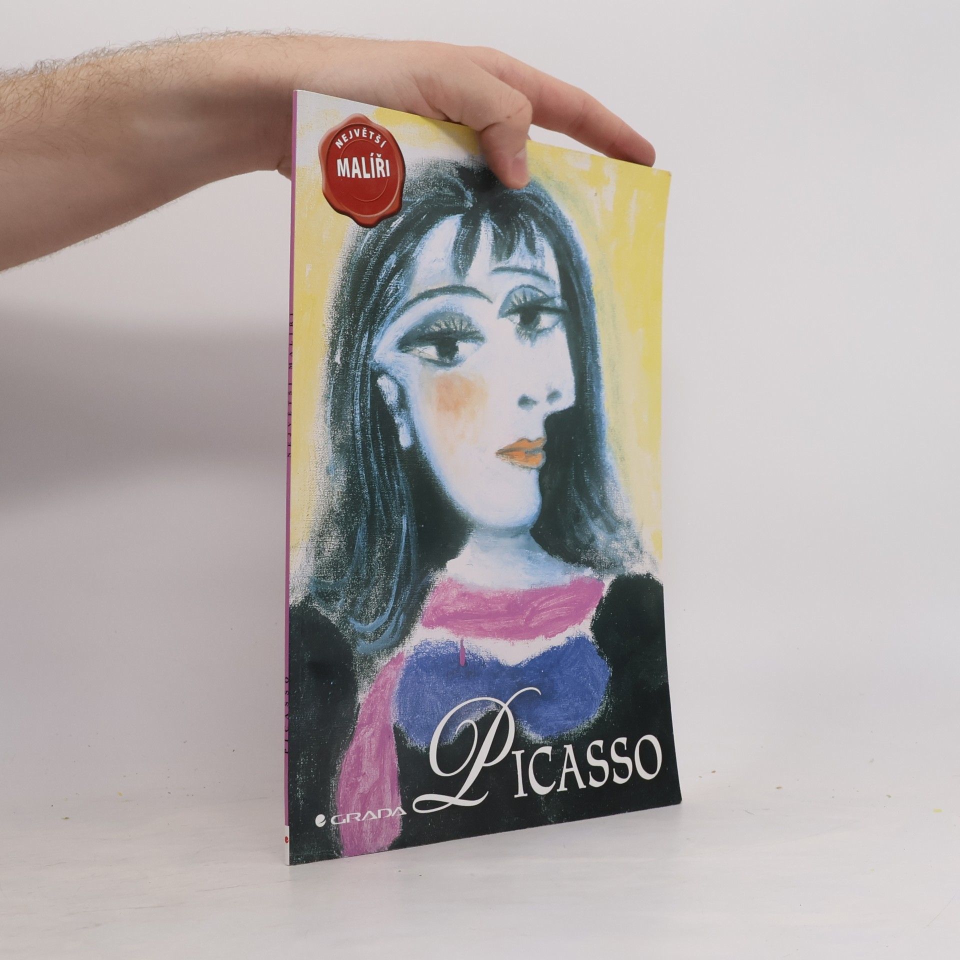 David Spence Picasso