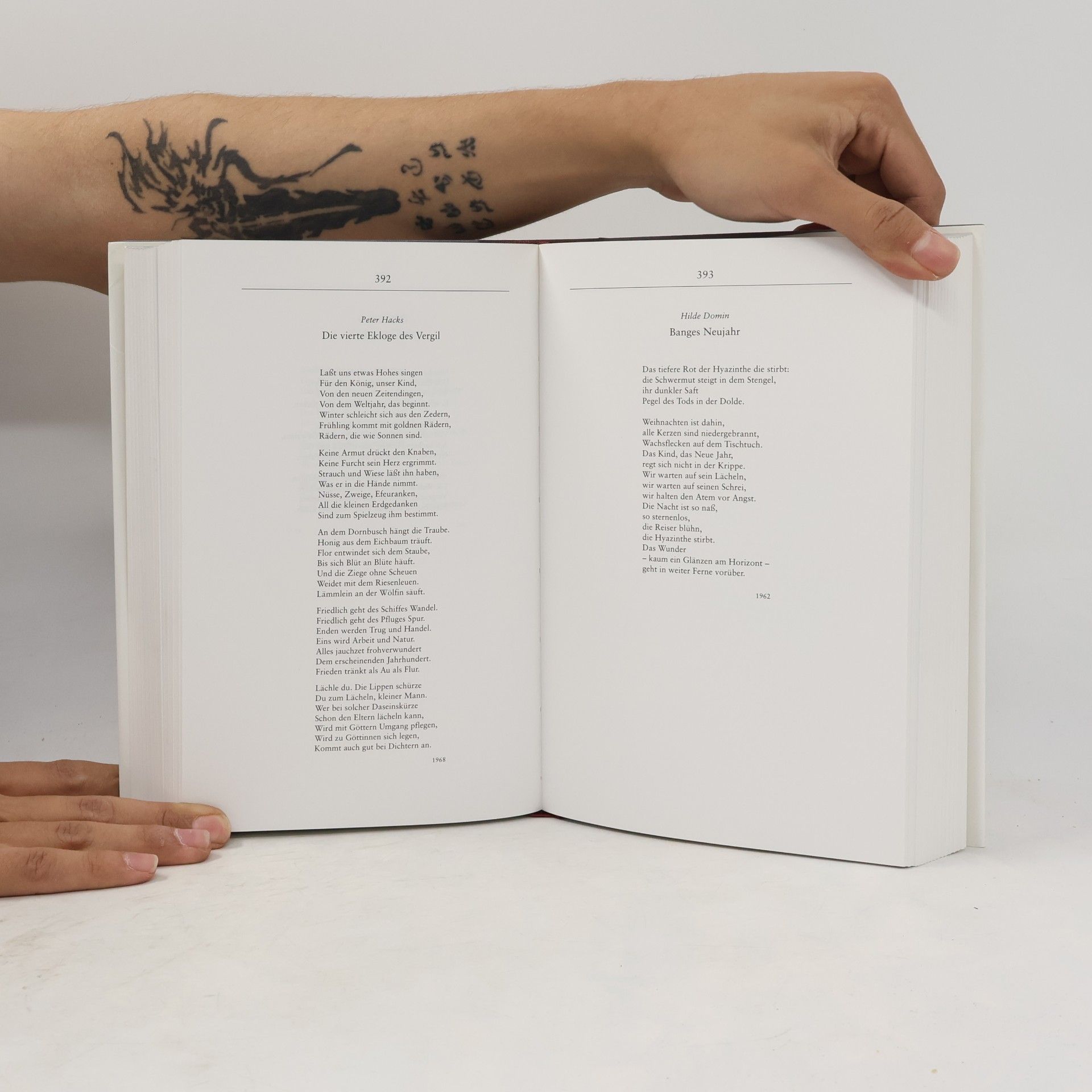 Dieter Richter Kindheit im Gedicht