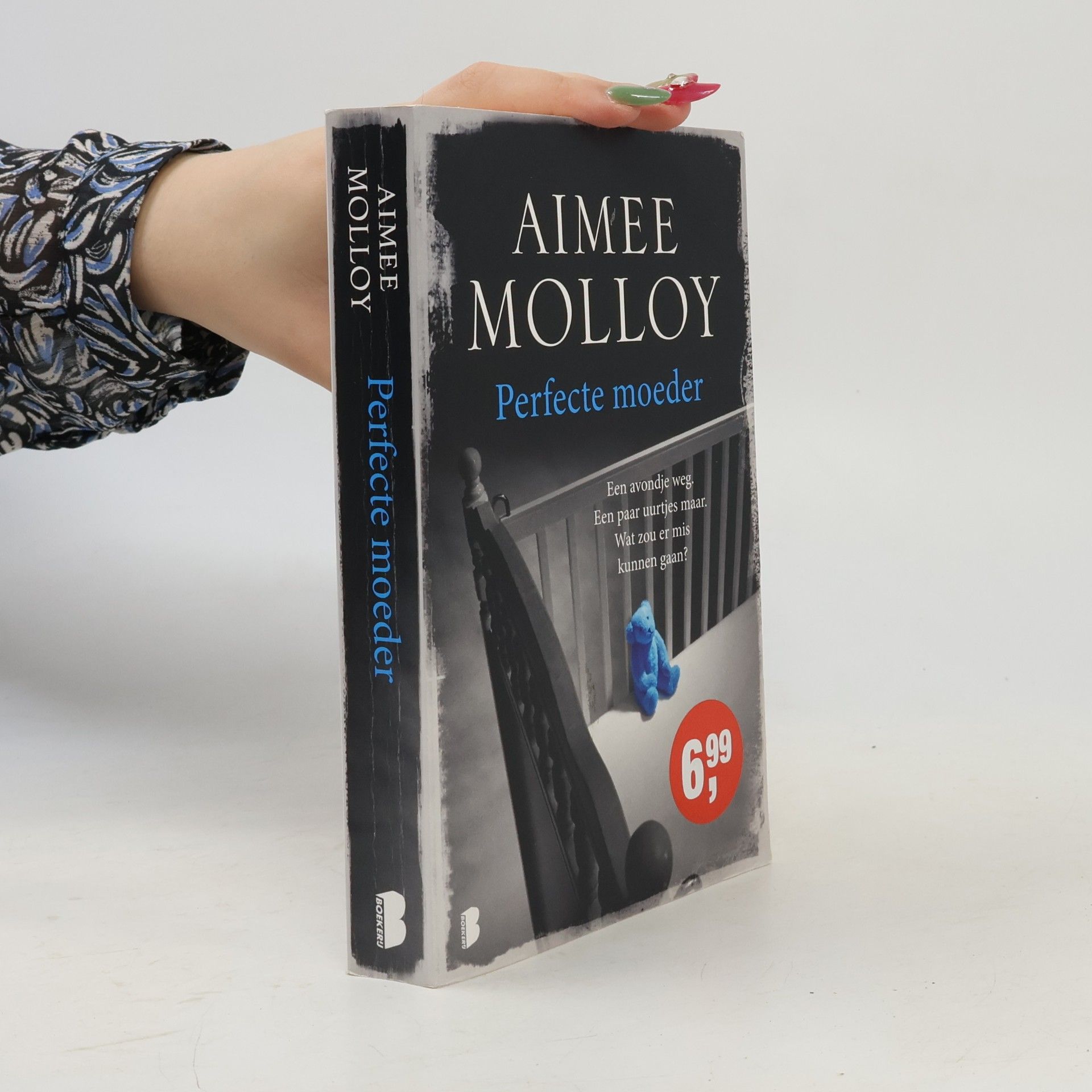 Aimee Molloy Perfecte moeder