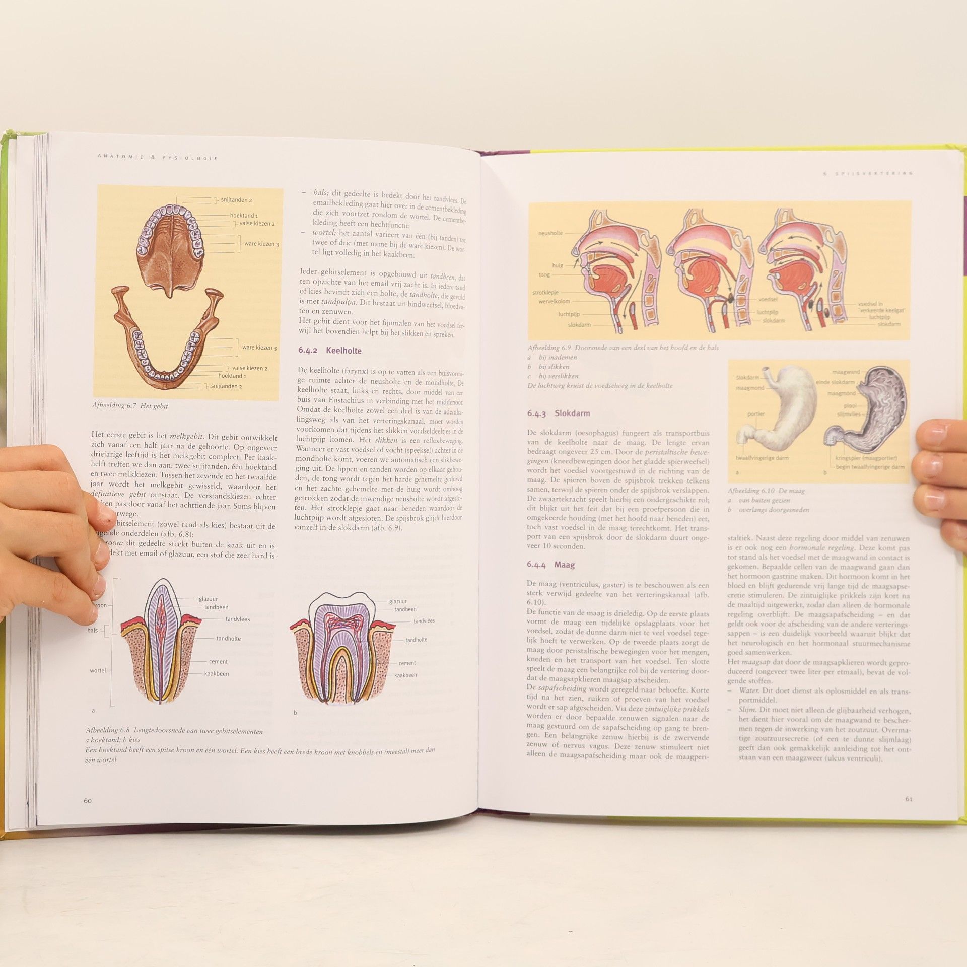 J.A.M. Baar Kompas voor AG - AG 302: Anatomie & fysiologie
