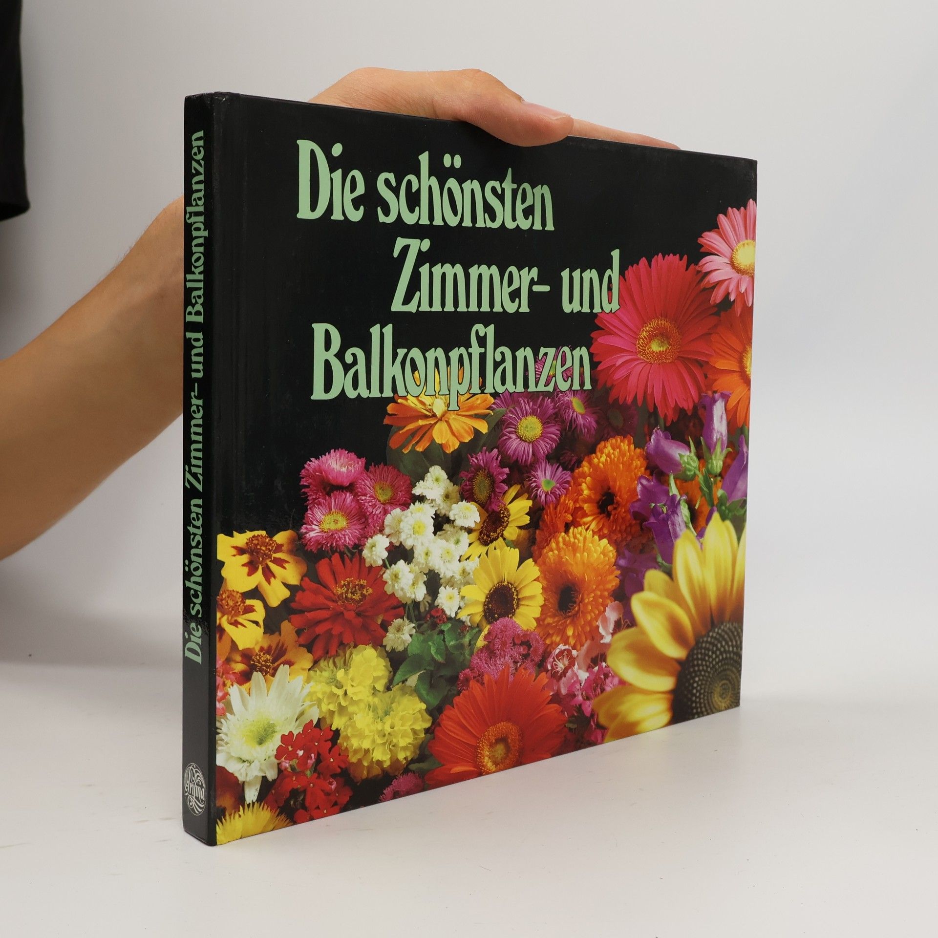 Allan Moin  Die schönsten Zimmer und Balkonpflanzen