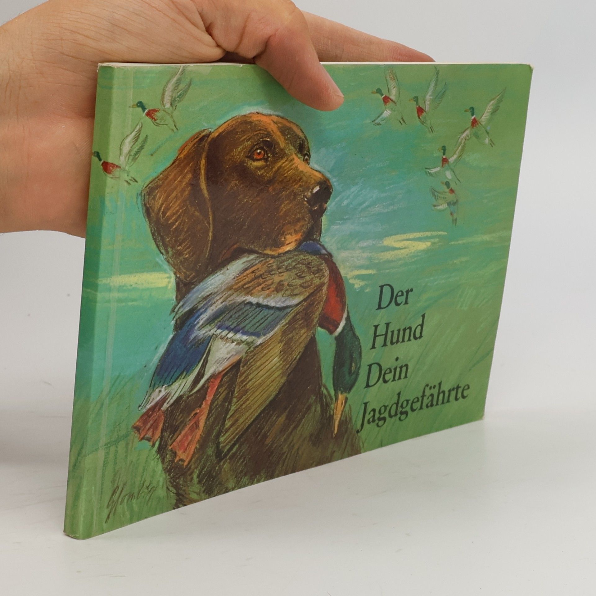 Autores varios Der Hund dein Jagdgefährte