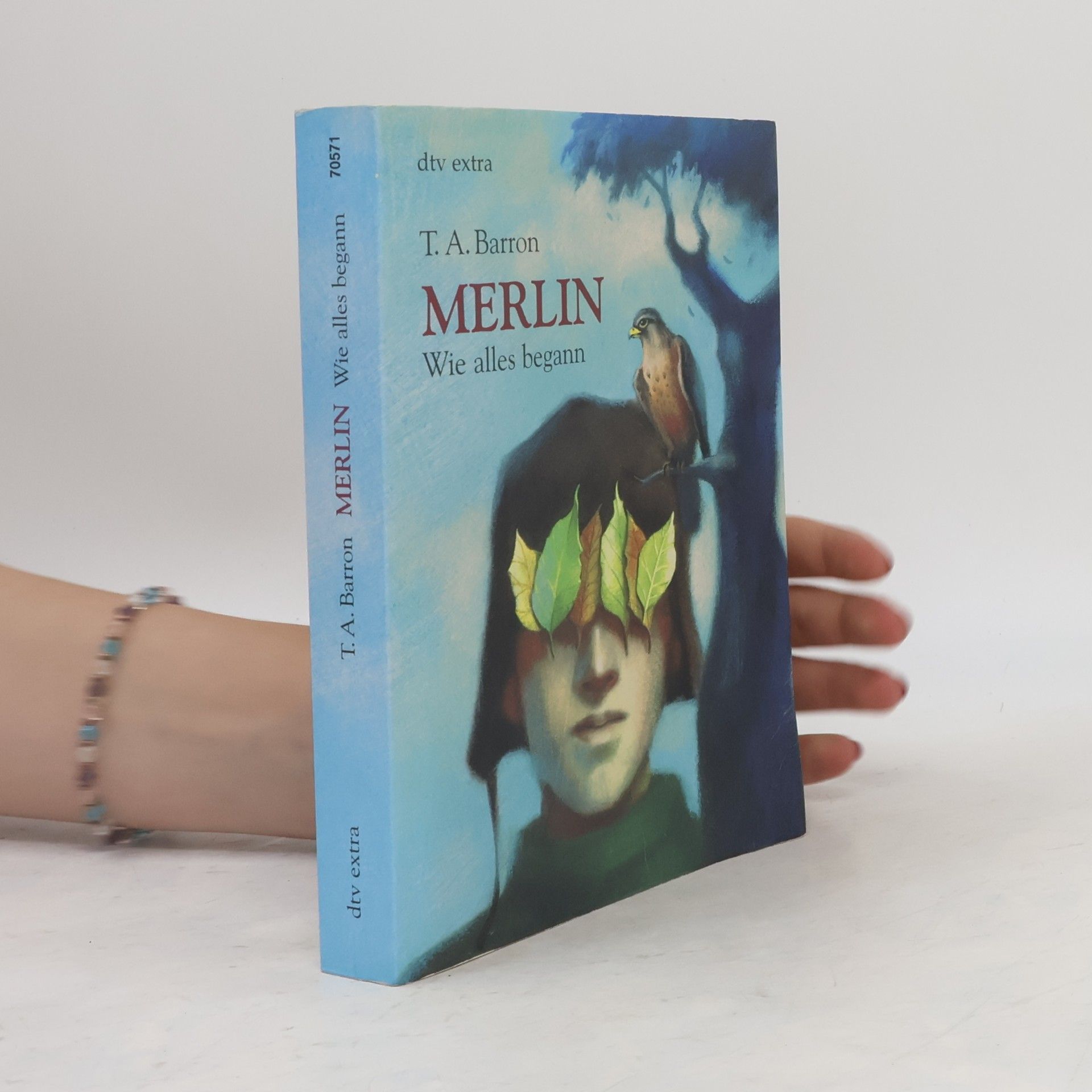 T. A. Barron Merlin. Wie alles begann