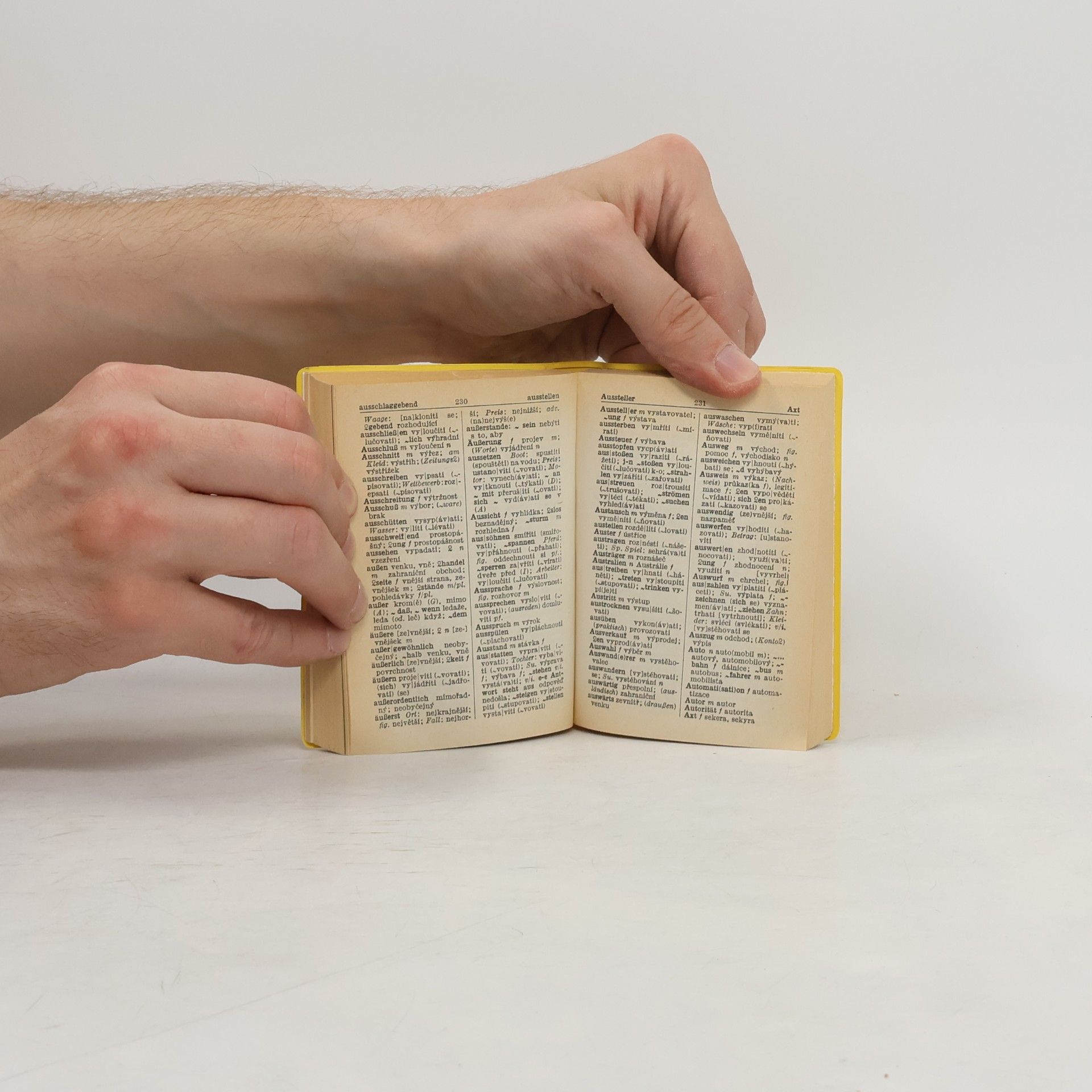 Autores varios Langenscheidt Universal-Wörterbuch Tschechisch