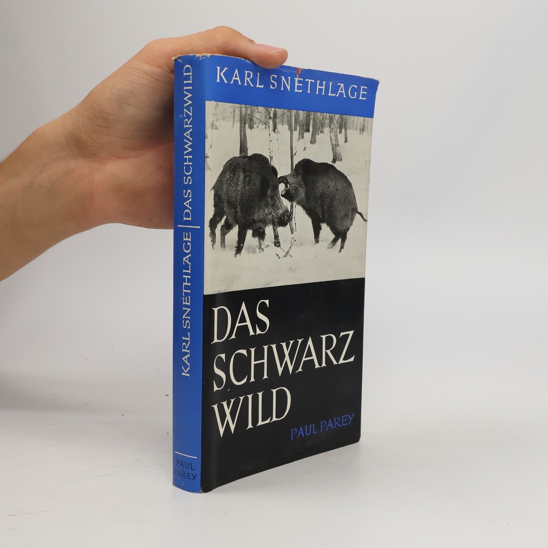 Karl Snethlage Das Schwarzwild