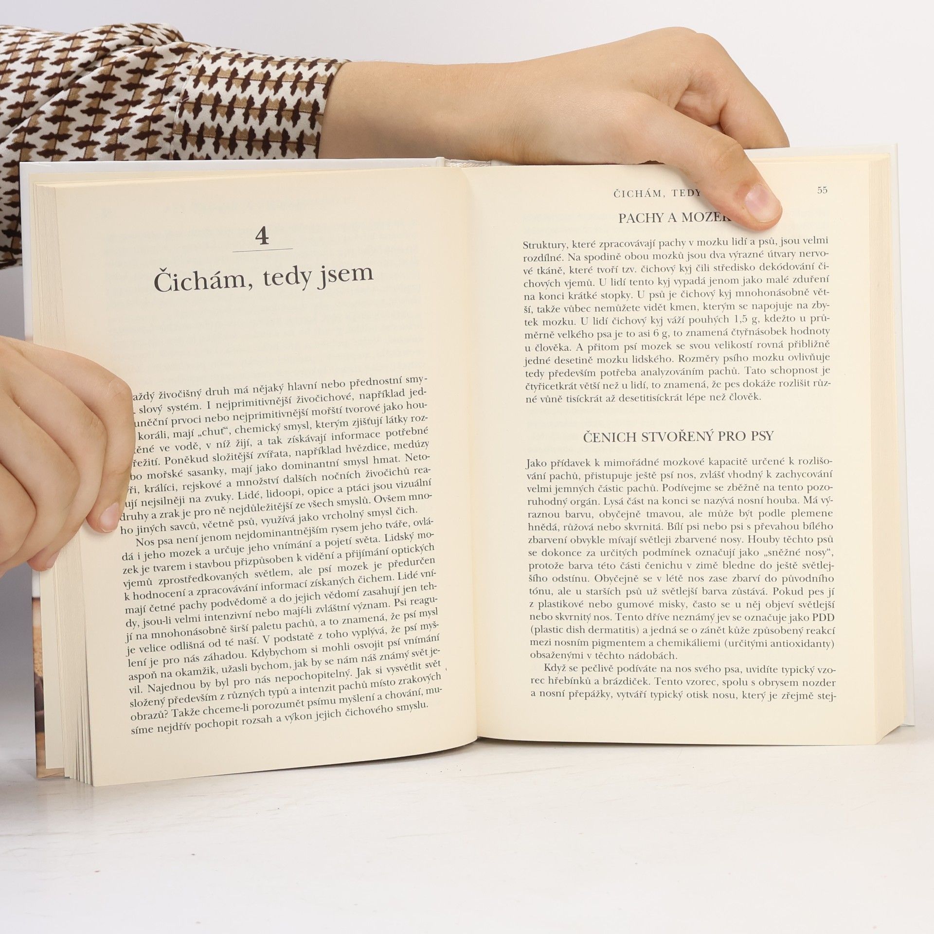 Stanley Coren Co má pes na mysli: Jak pochopit psí uvažování