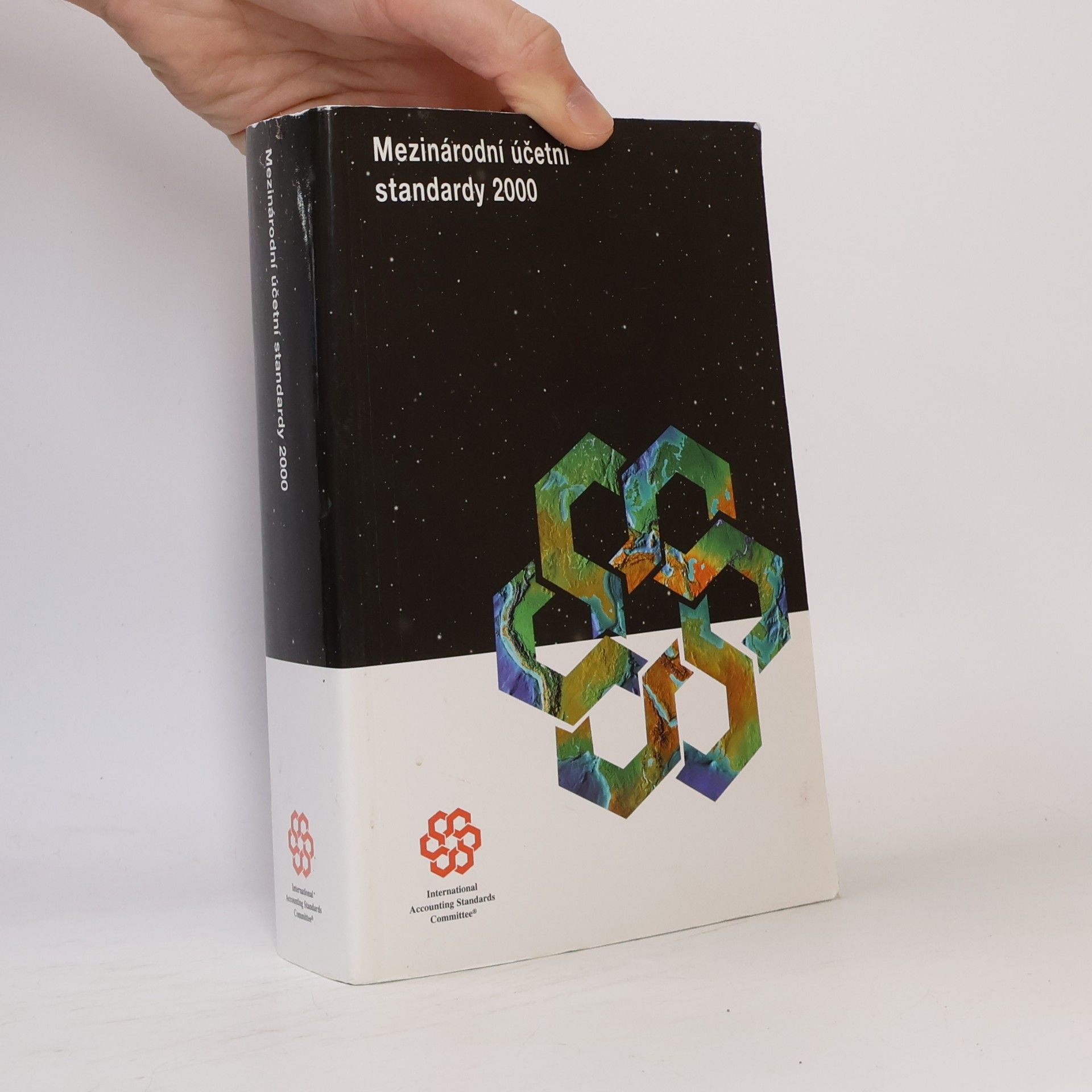 Autorenkollektiv Mezinárodní účetní standardy 2000