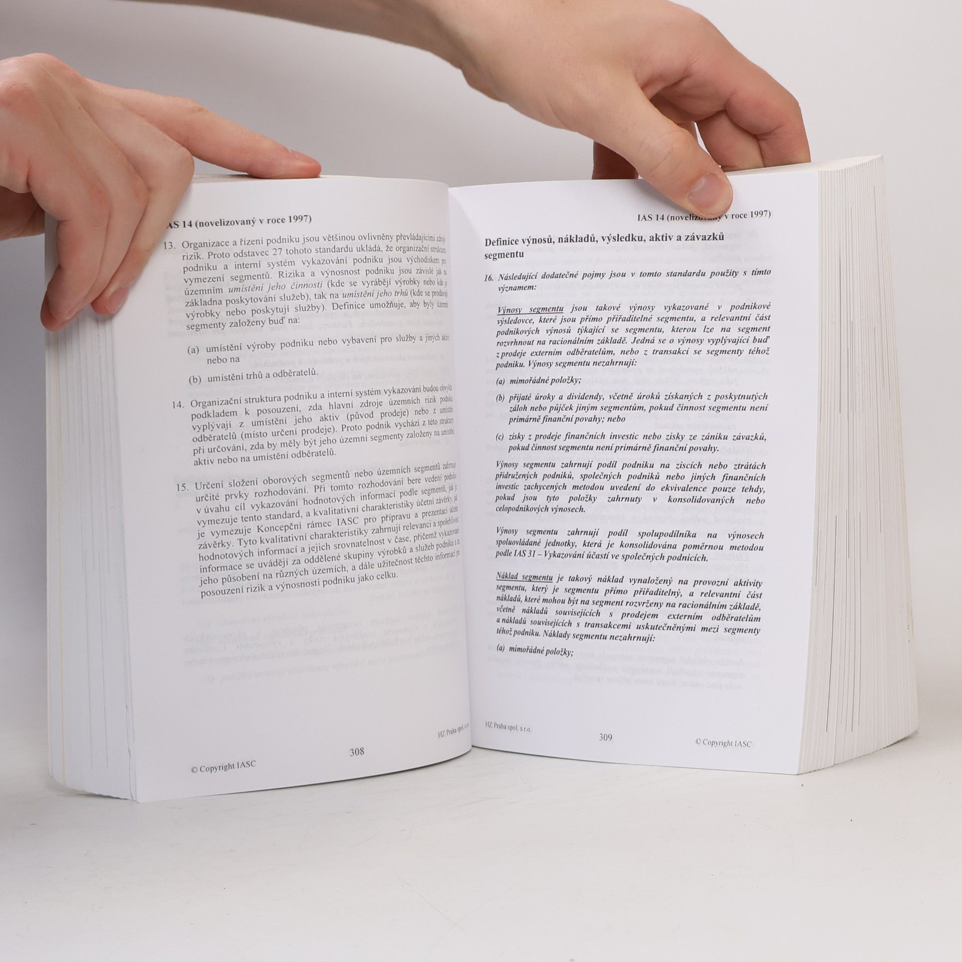 Autorenkollektiv Mezinárodní účetní standardy 2000