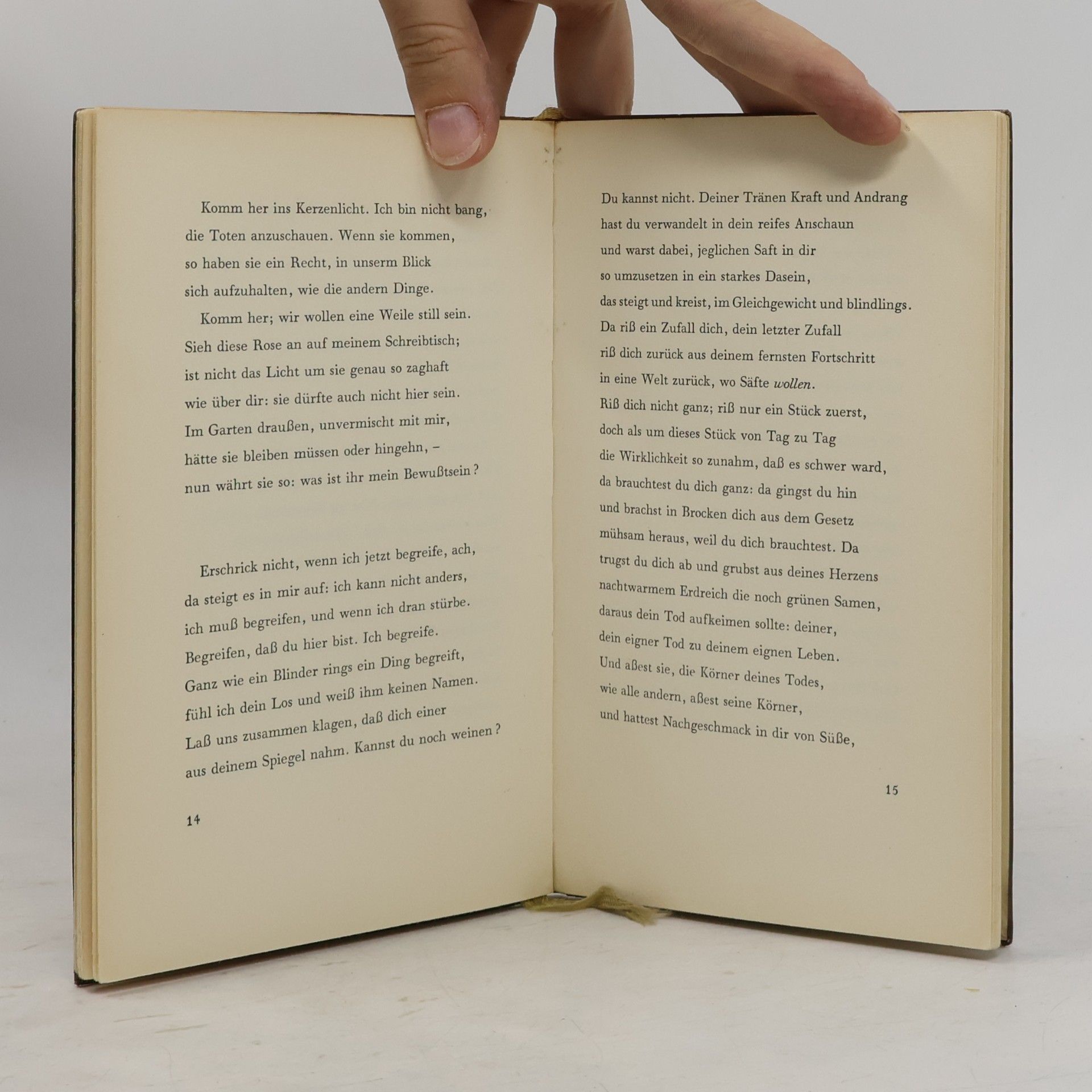 Rainer Maria Rilke Requiem