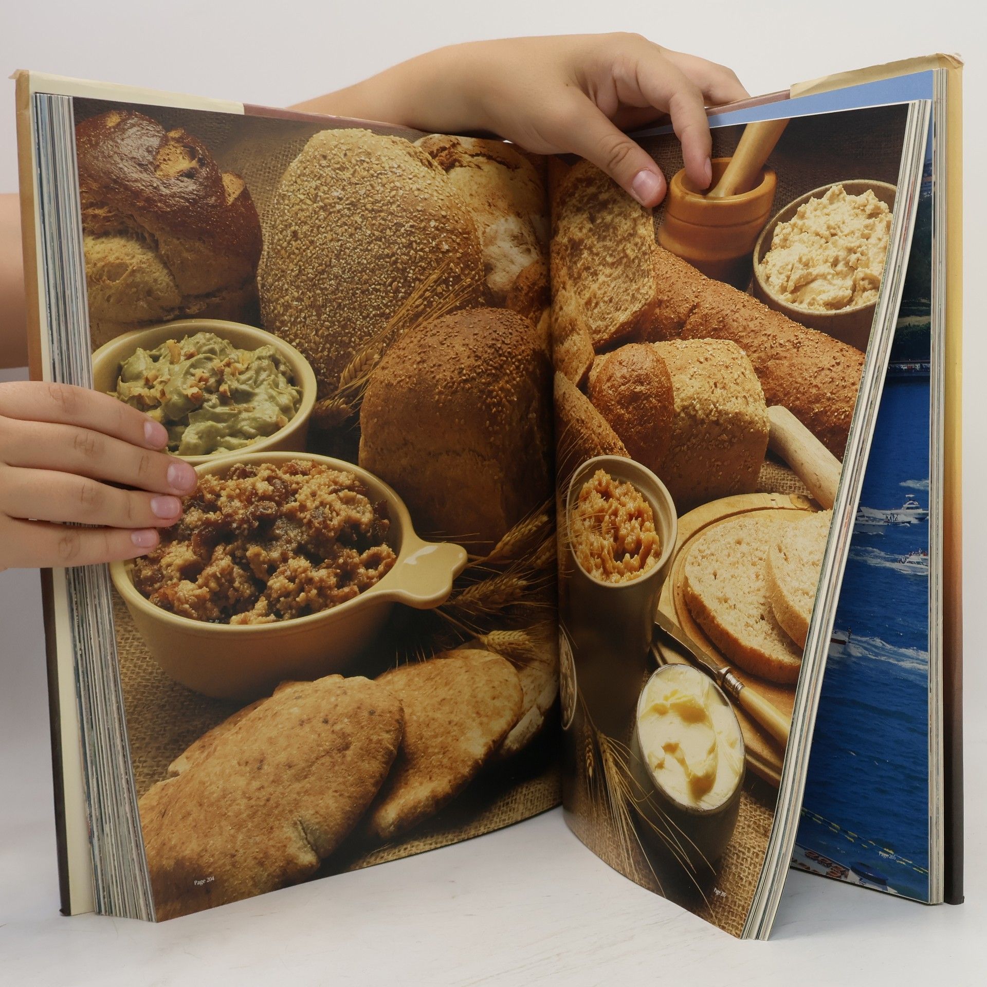 Kolektiv autorů The Australian Heritage Cookbook