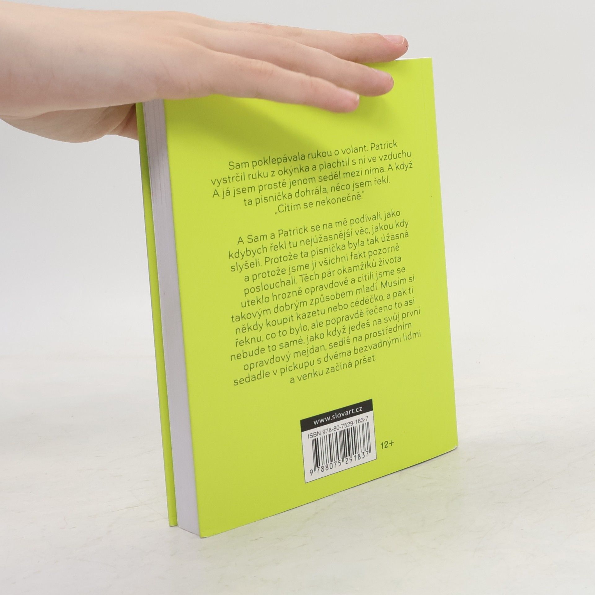 Stephen Chbosky Ten, kdo stojí v koutě