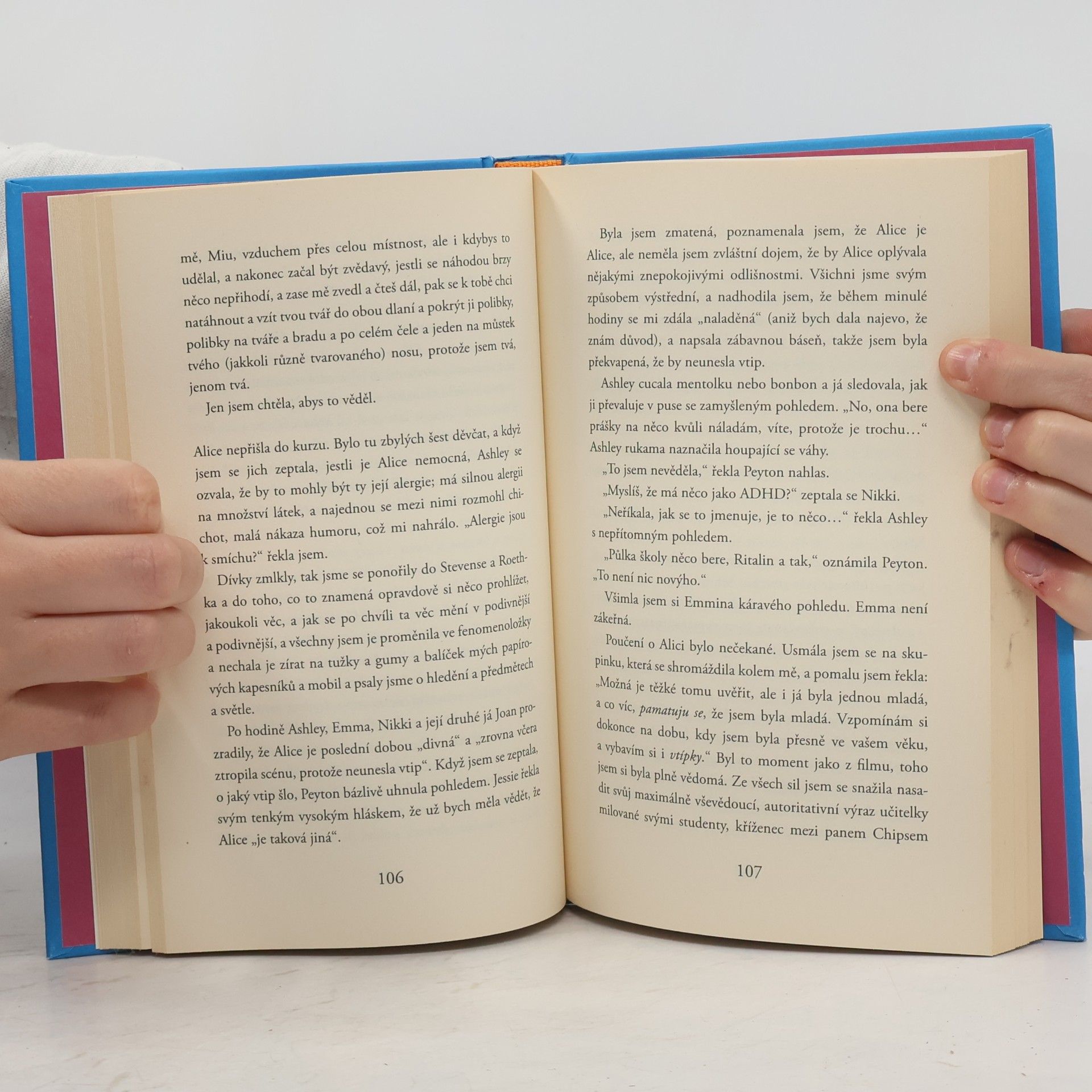 Siri Hustvedt Léto bez mužů