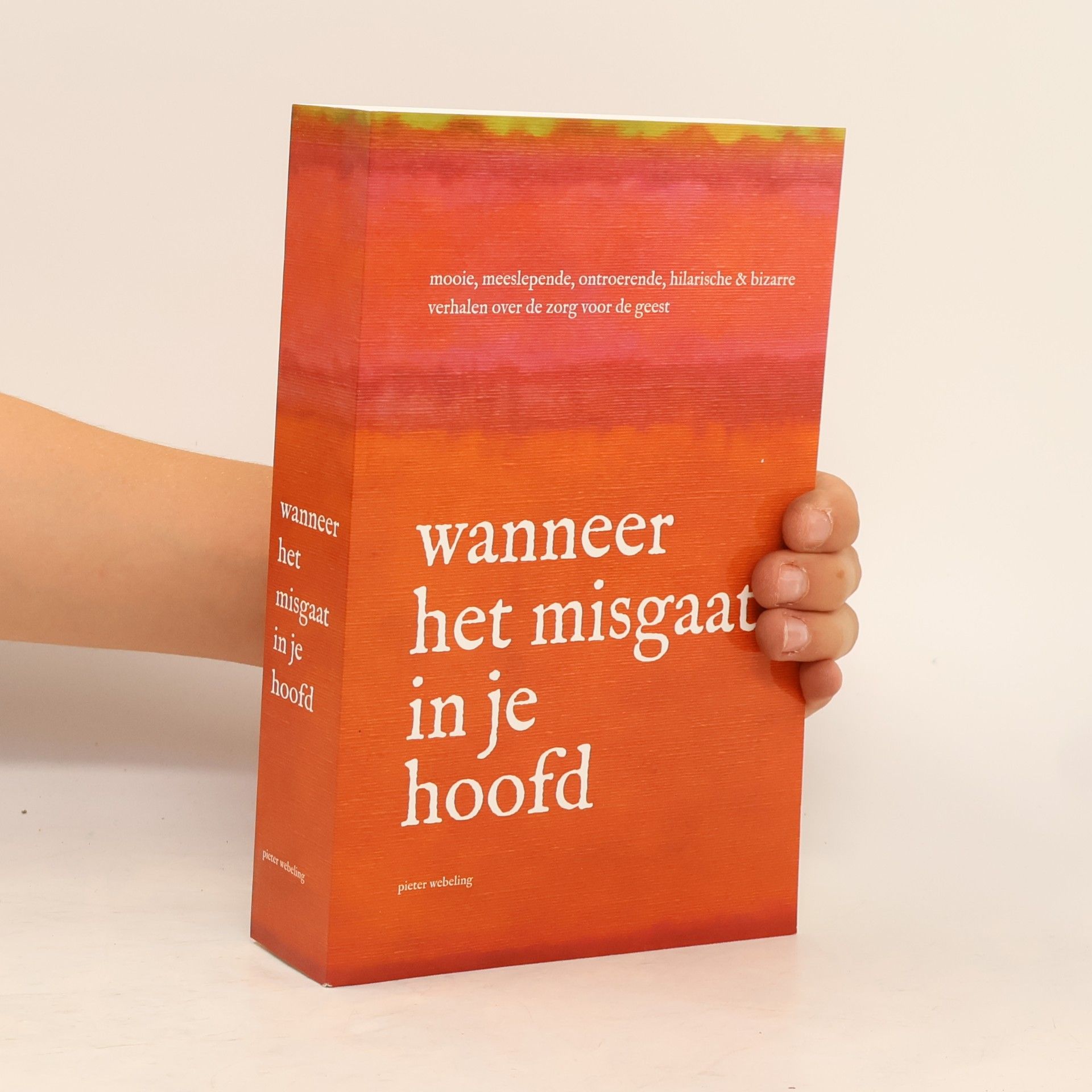 Wanneer het misgaat in je hoofd