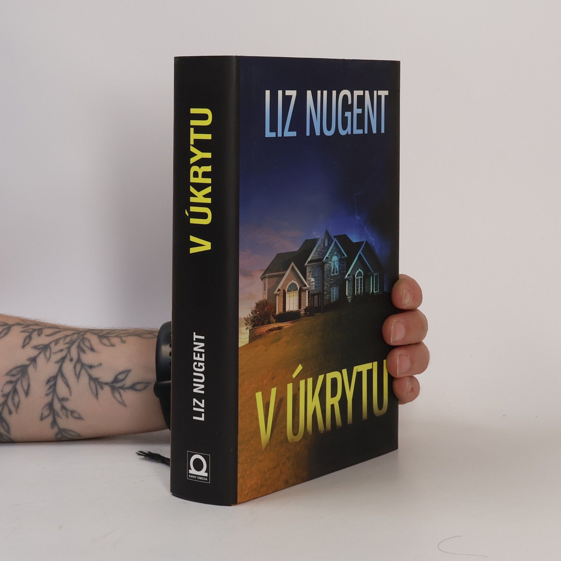 Liz Nugent V úkrytu