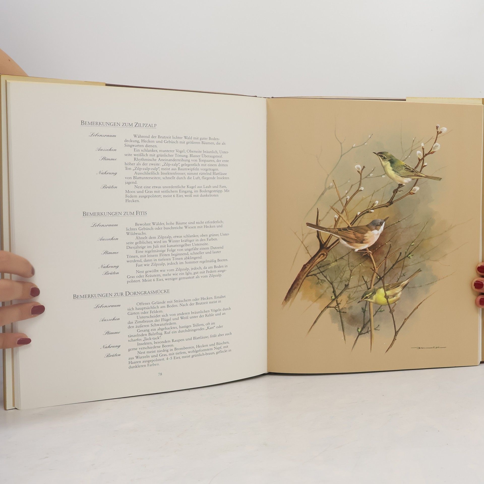 Goetz Rheinwald Unsere schöne Vogelwelt
