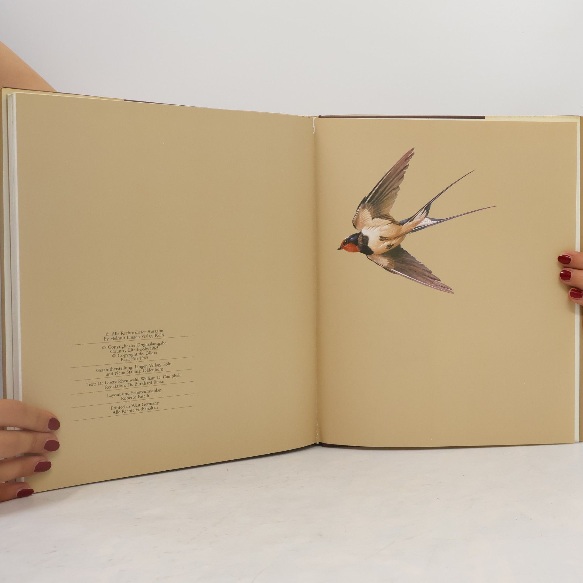 Goetz Rheinwald Unsere schöne Vogelwelt