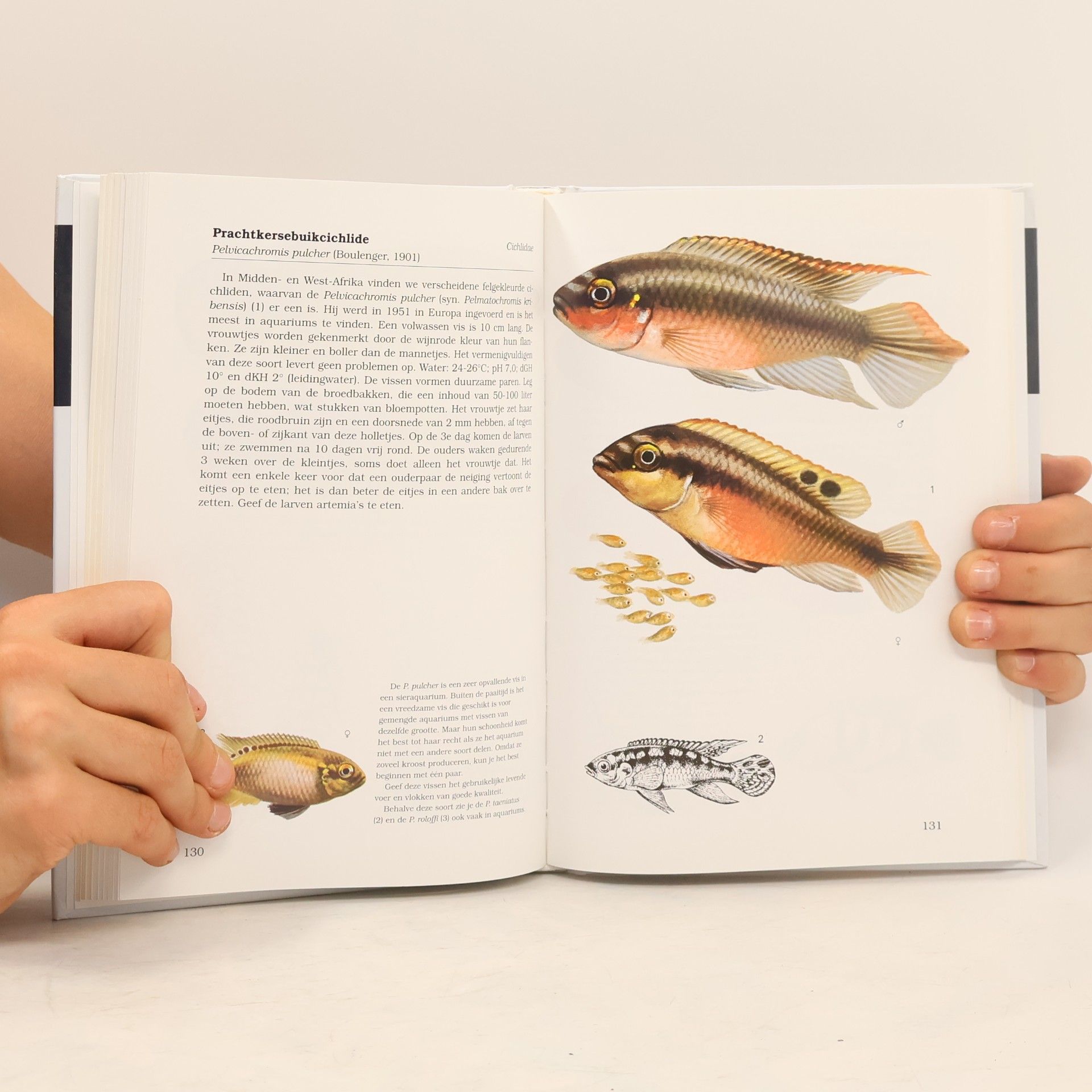 Ivan Petrovický Aquariumvissen / druk 1