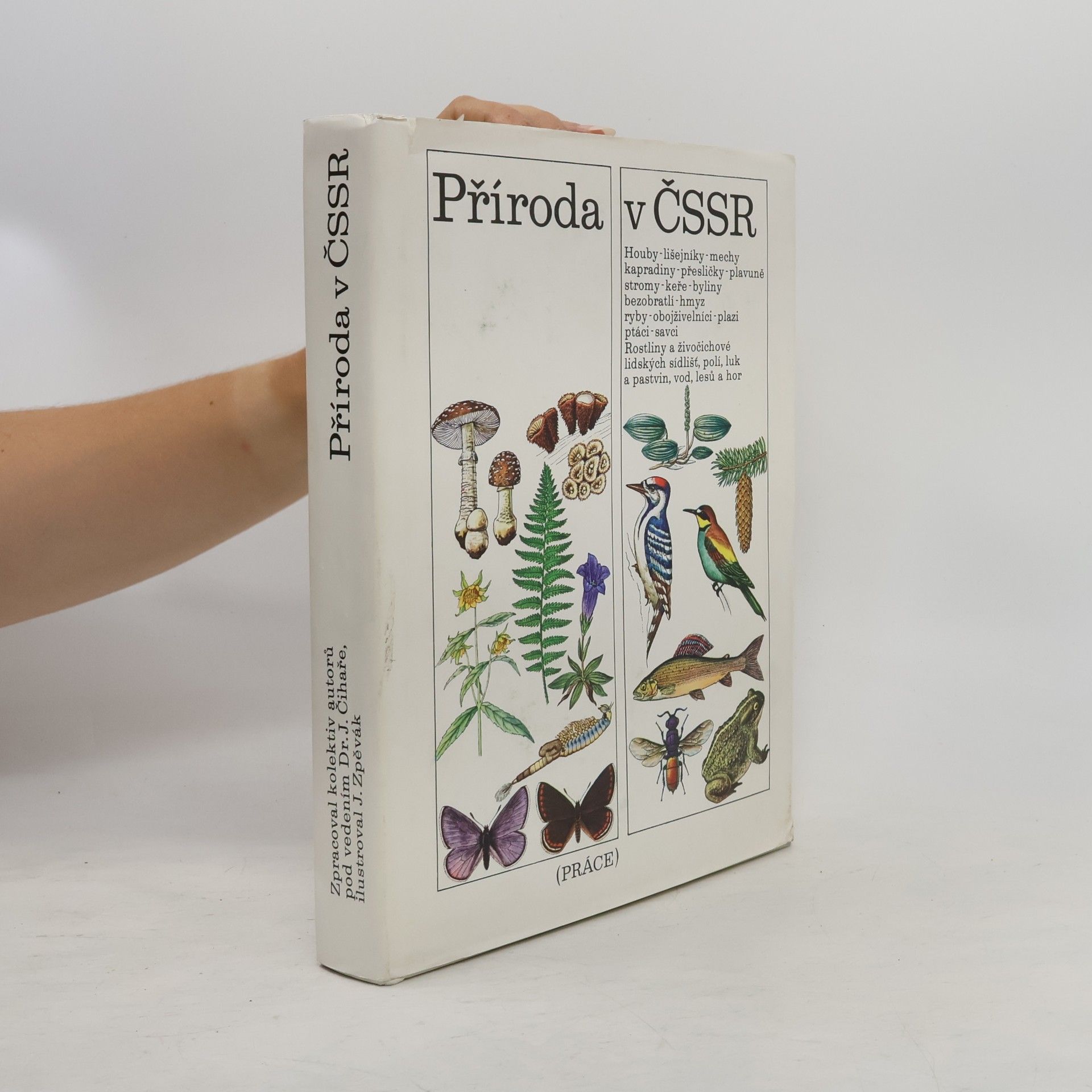 Autorenkollektiv Příroda v ČSSR