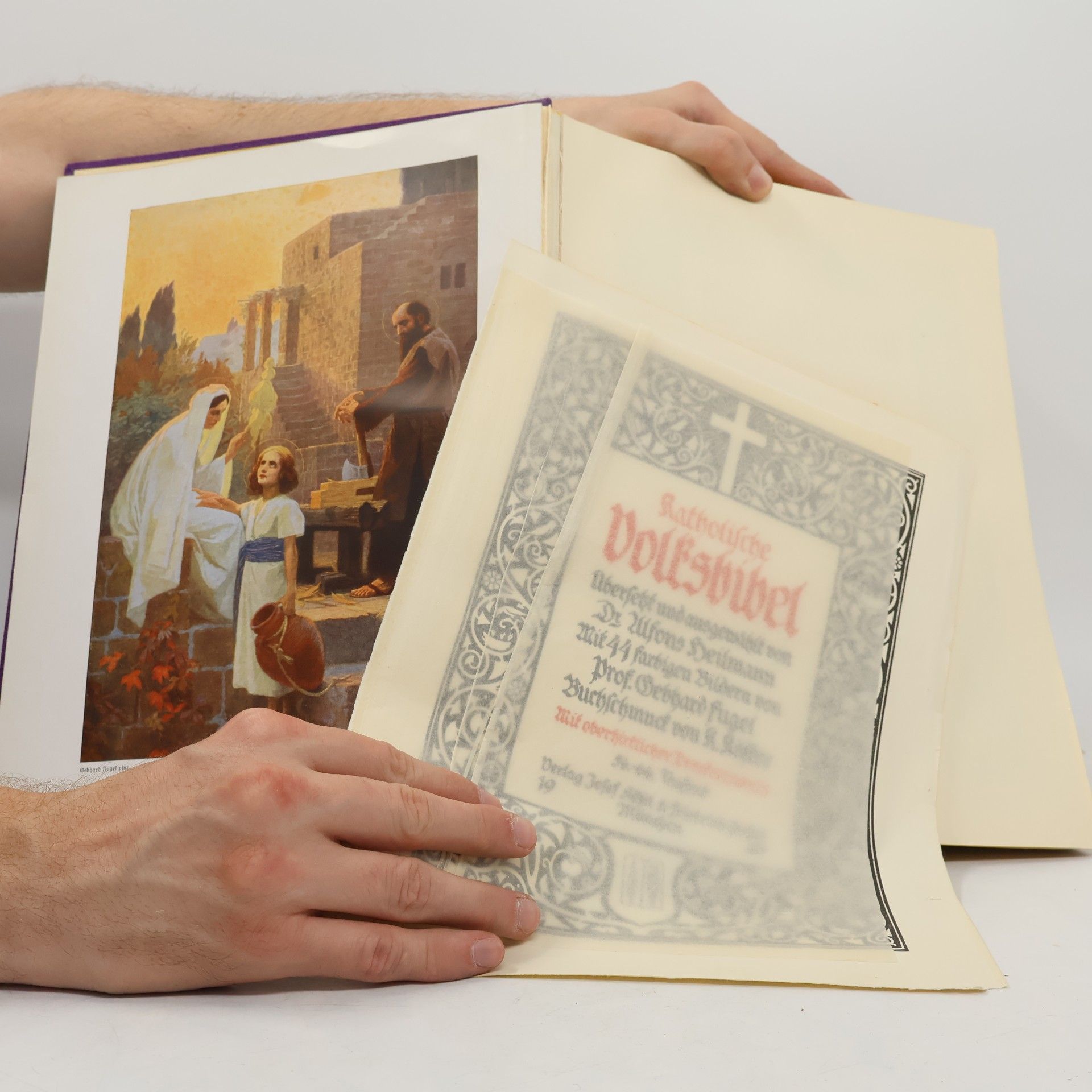 Autorenkollektiv Katholische Volksbibel