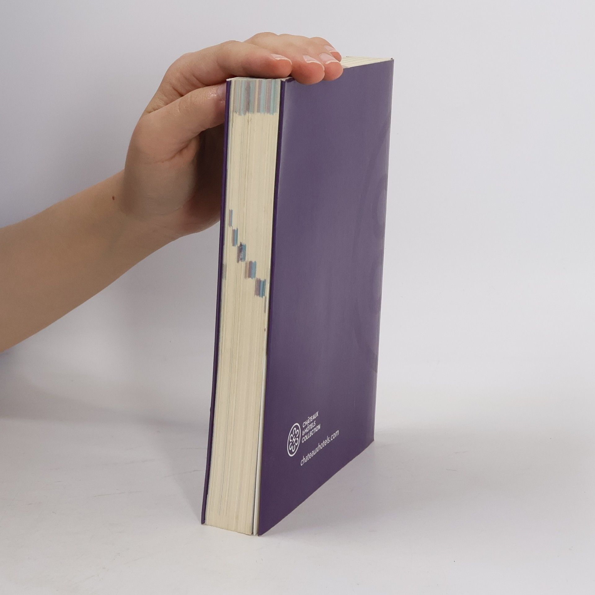 Autorenkollektiv Guide 2008. Francais