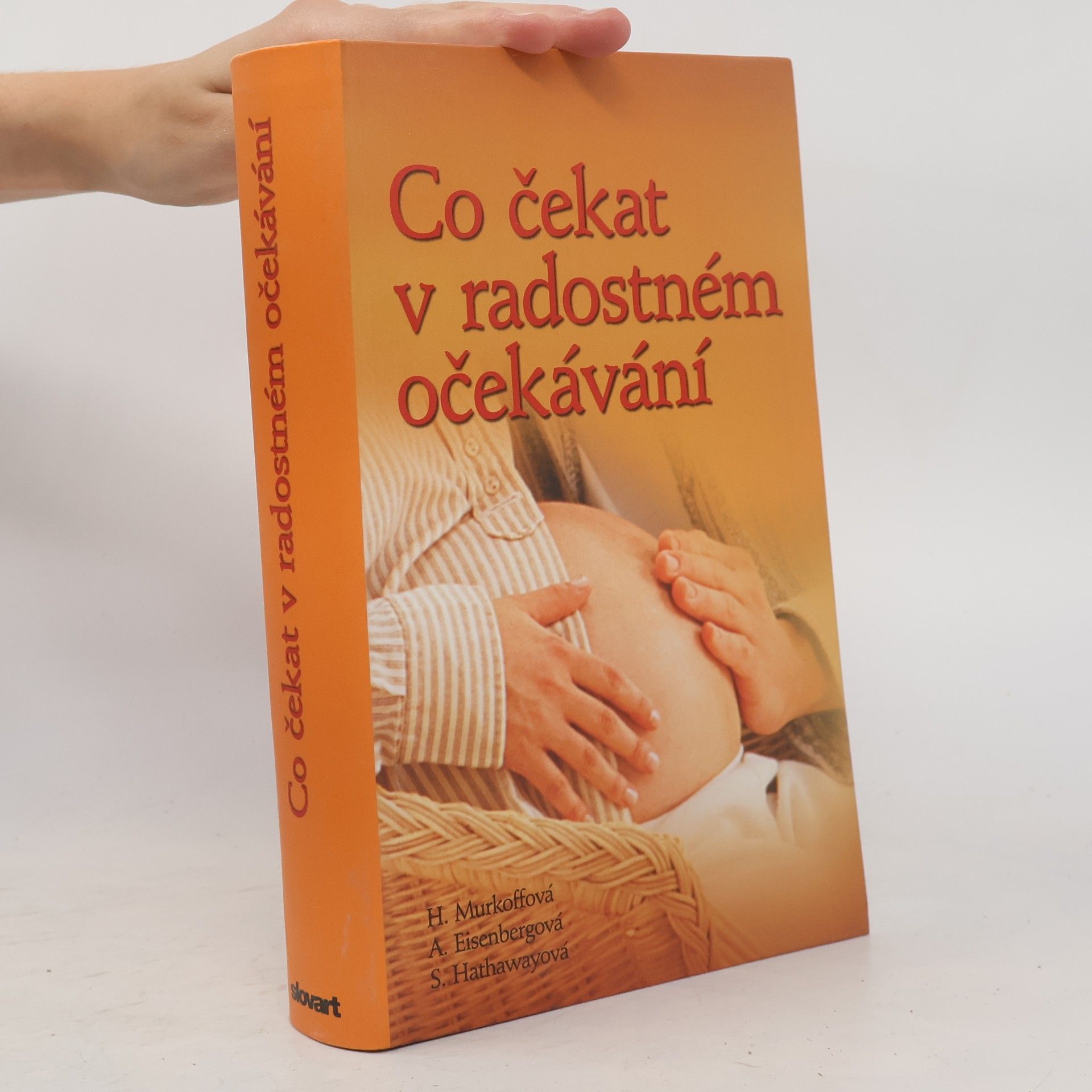 Heidi Murkoff Co čekat v radostném očekávání