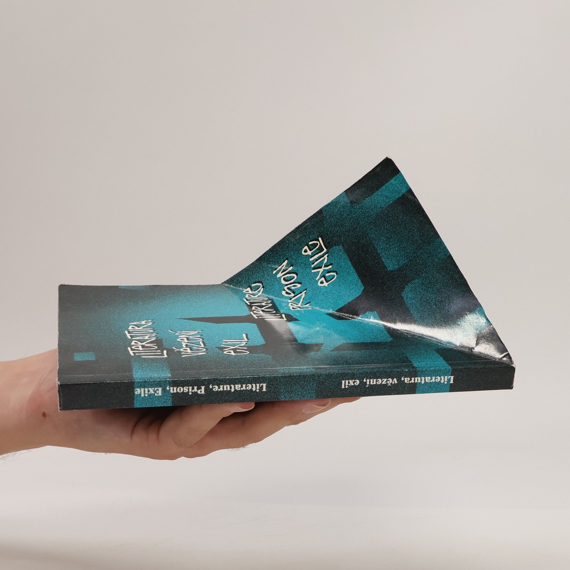 Kolektív autorov Literatura, vězení, exil