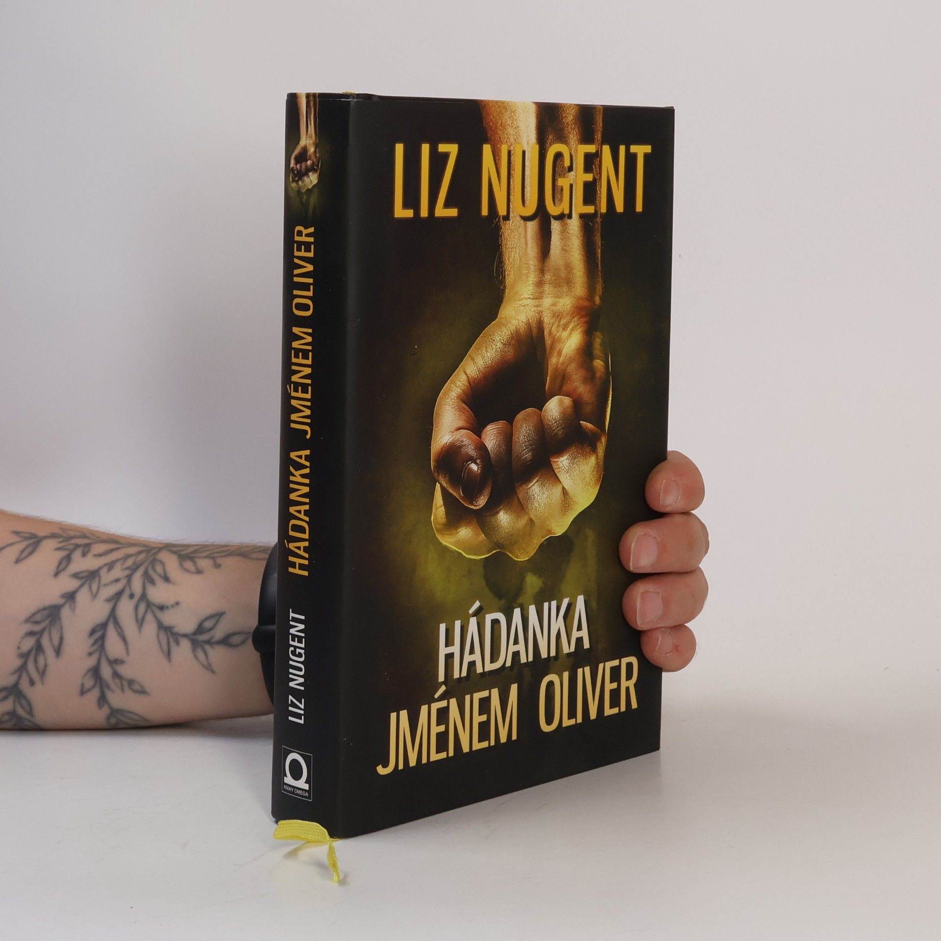 Liz Nugent Hádanka jménem Oliver