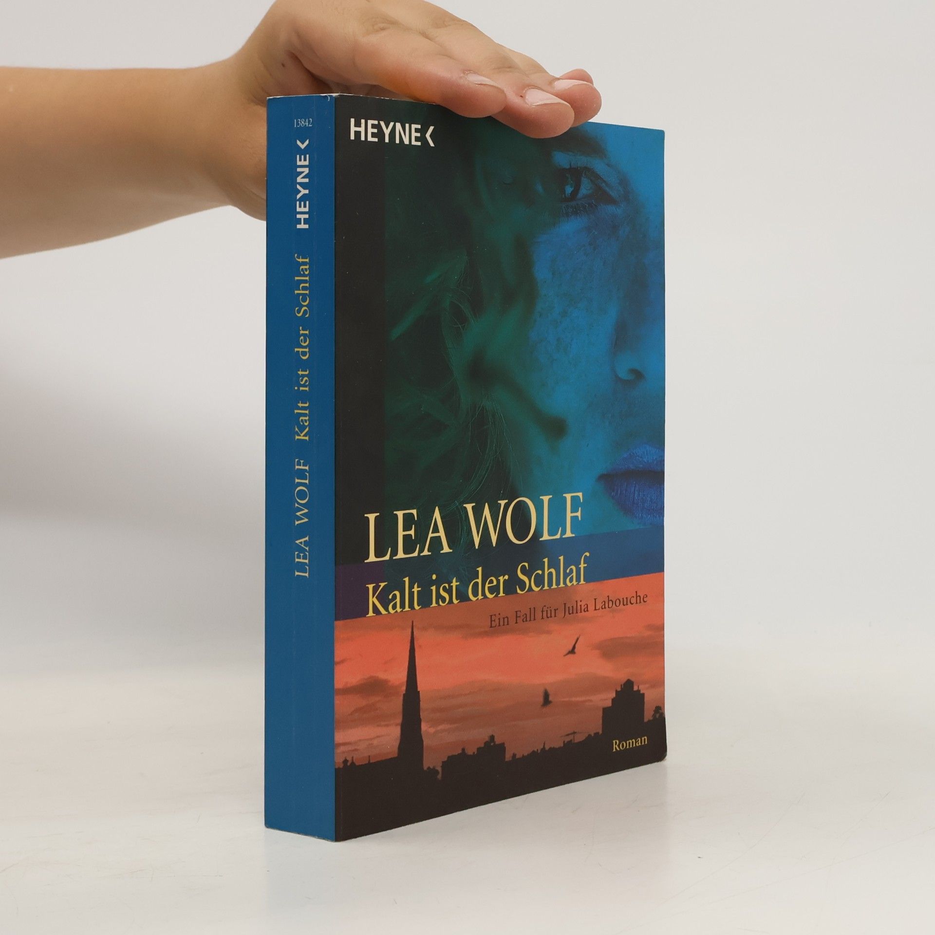 Lea Wolf Kalt ist der Schlaf. Ein Fall für Julia Labouche. Roman
