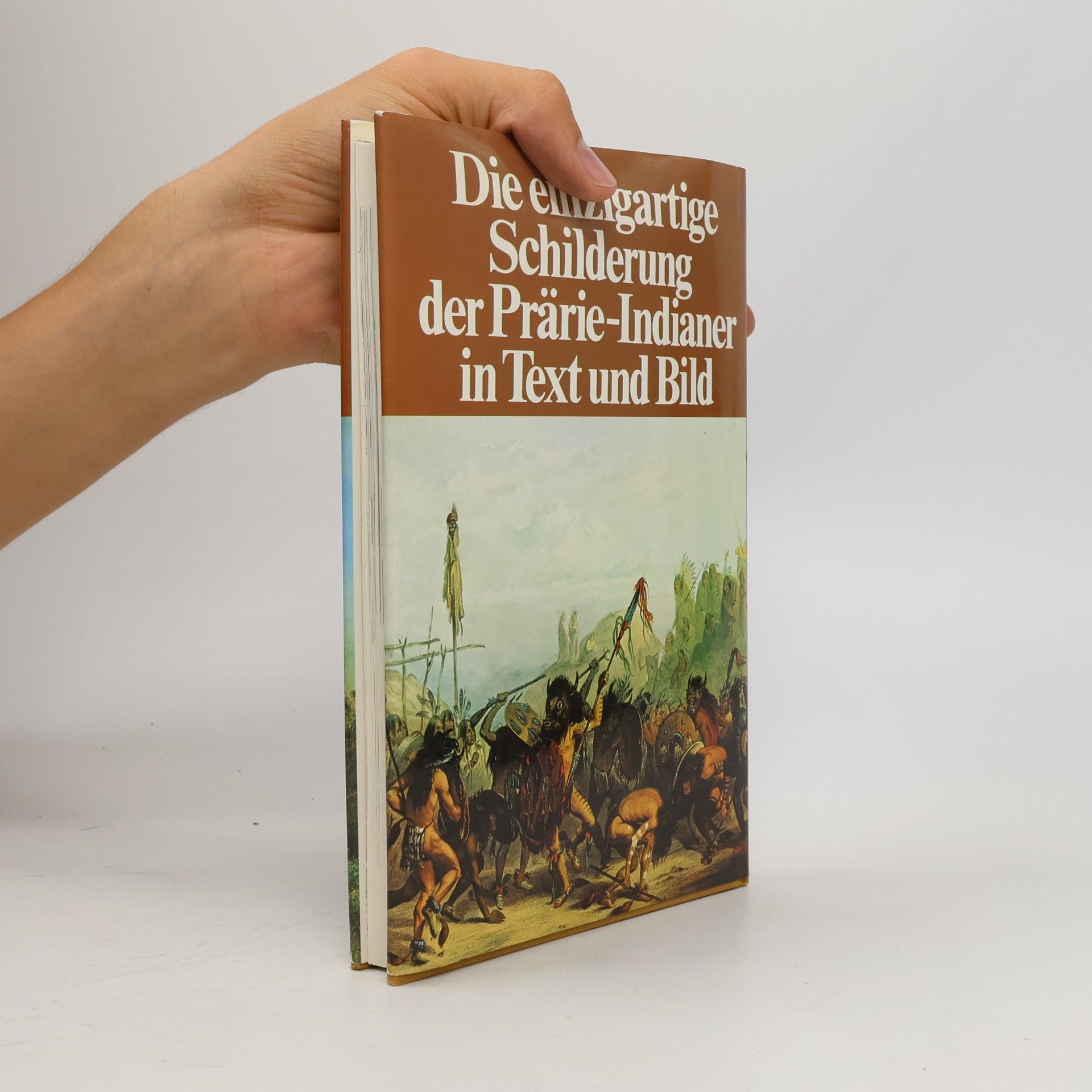 Richard Erdoes Büffeljagd und Sonnentanz