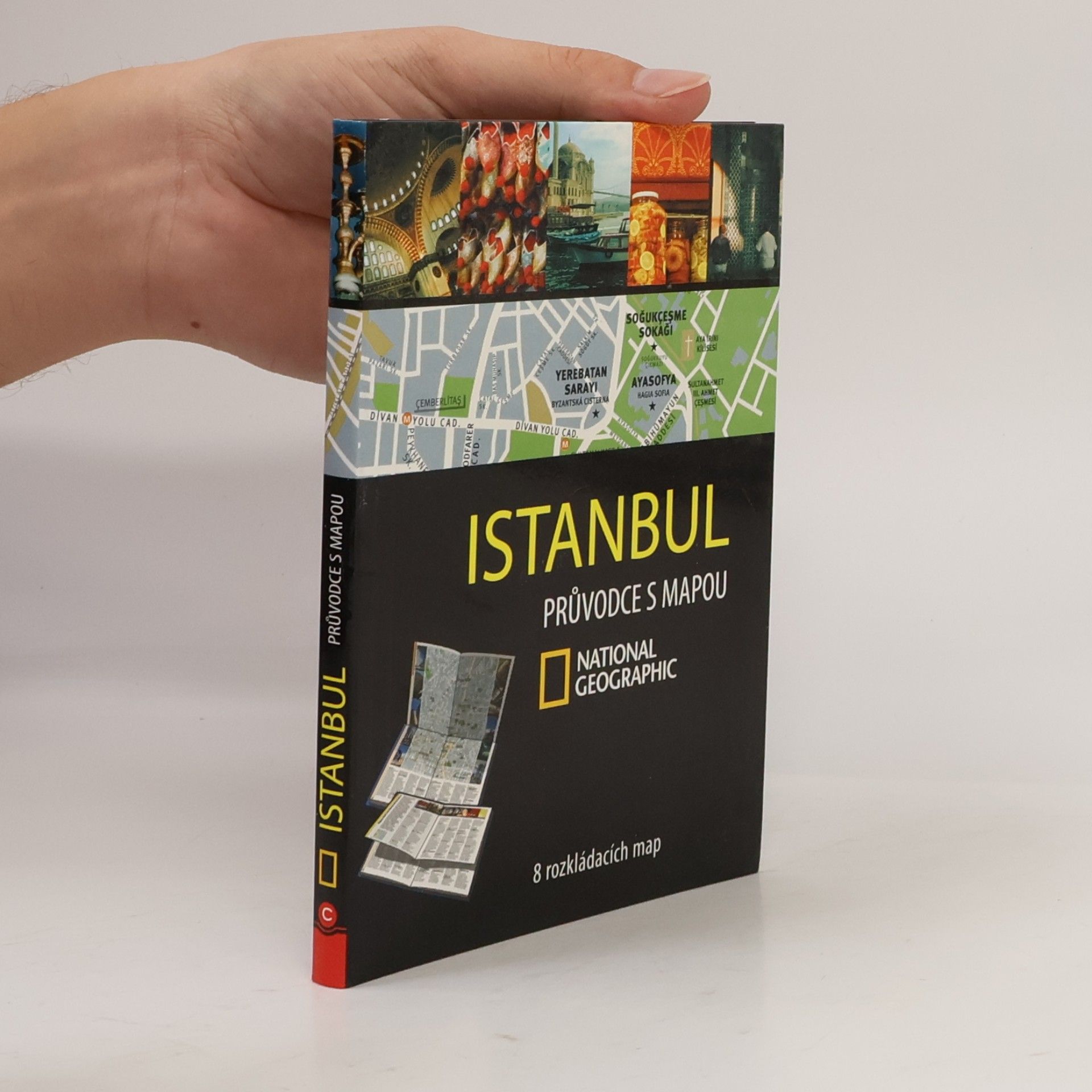 Vincent Noyoux Istanbul : průvodce s mapou