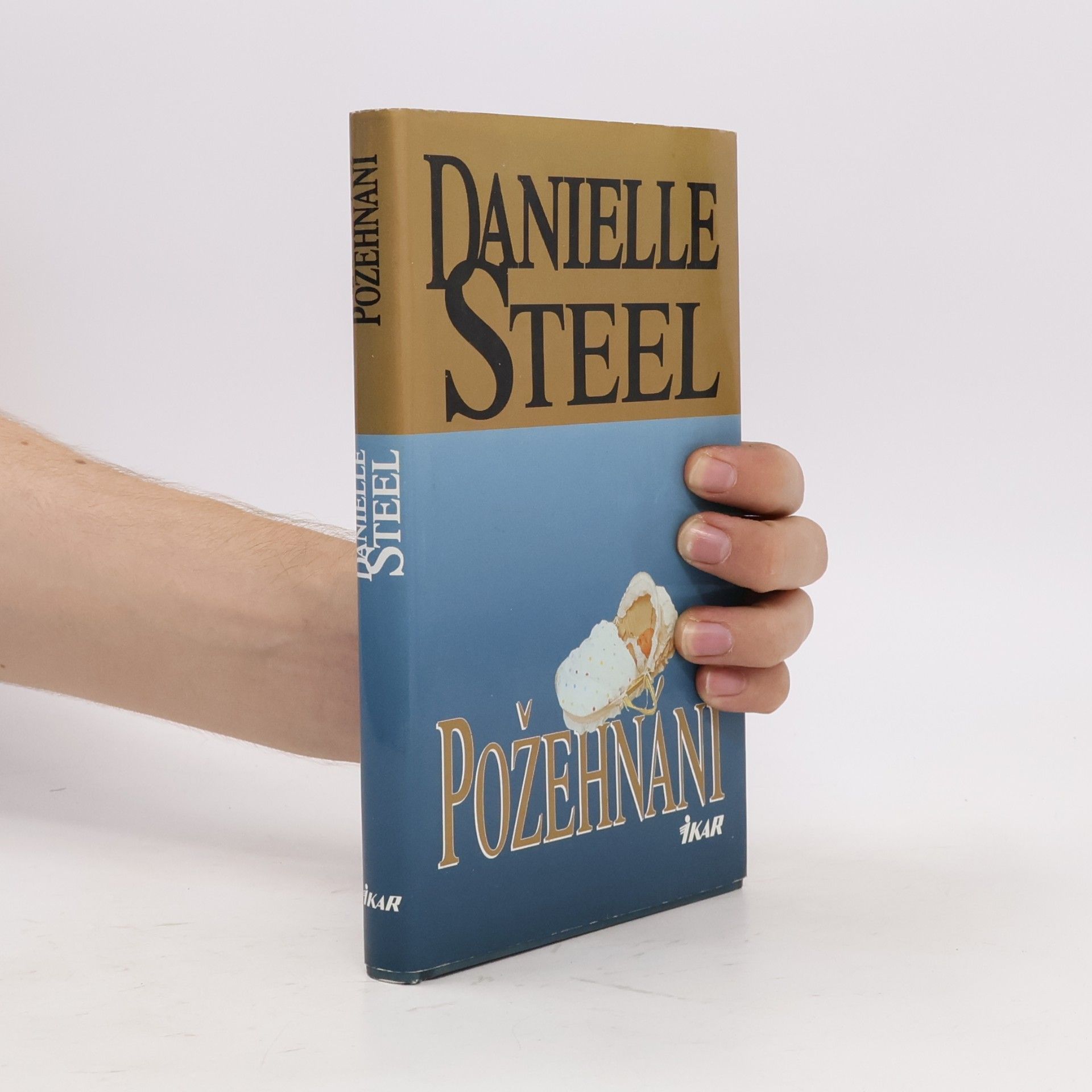 Danielle Steel Požehnání