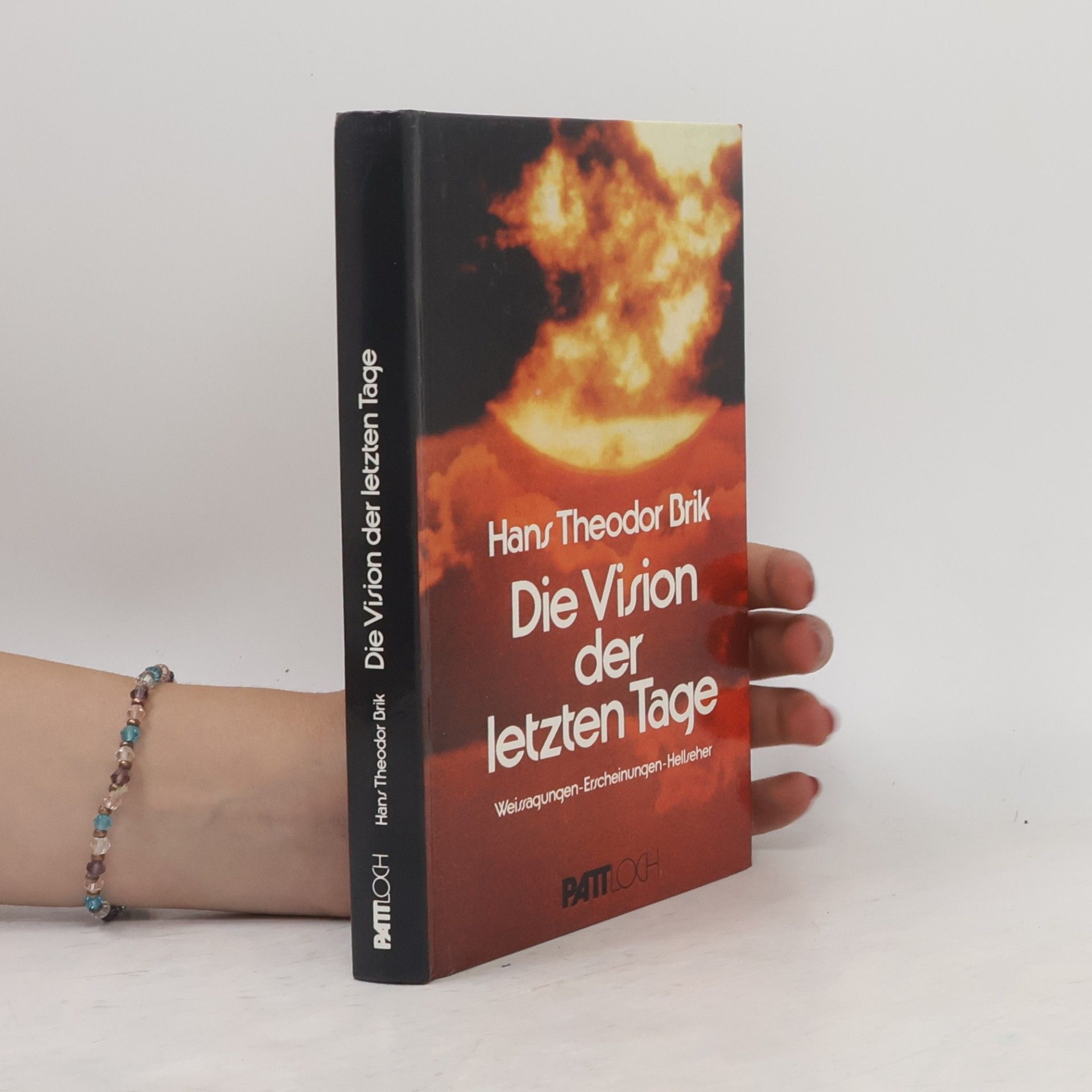 Hans Theodor Brik Die Vision der letzten Tage. Weissagungen, Erscheinungen, Hellseher