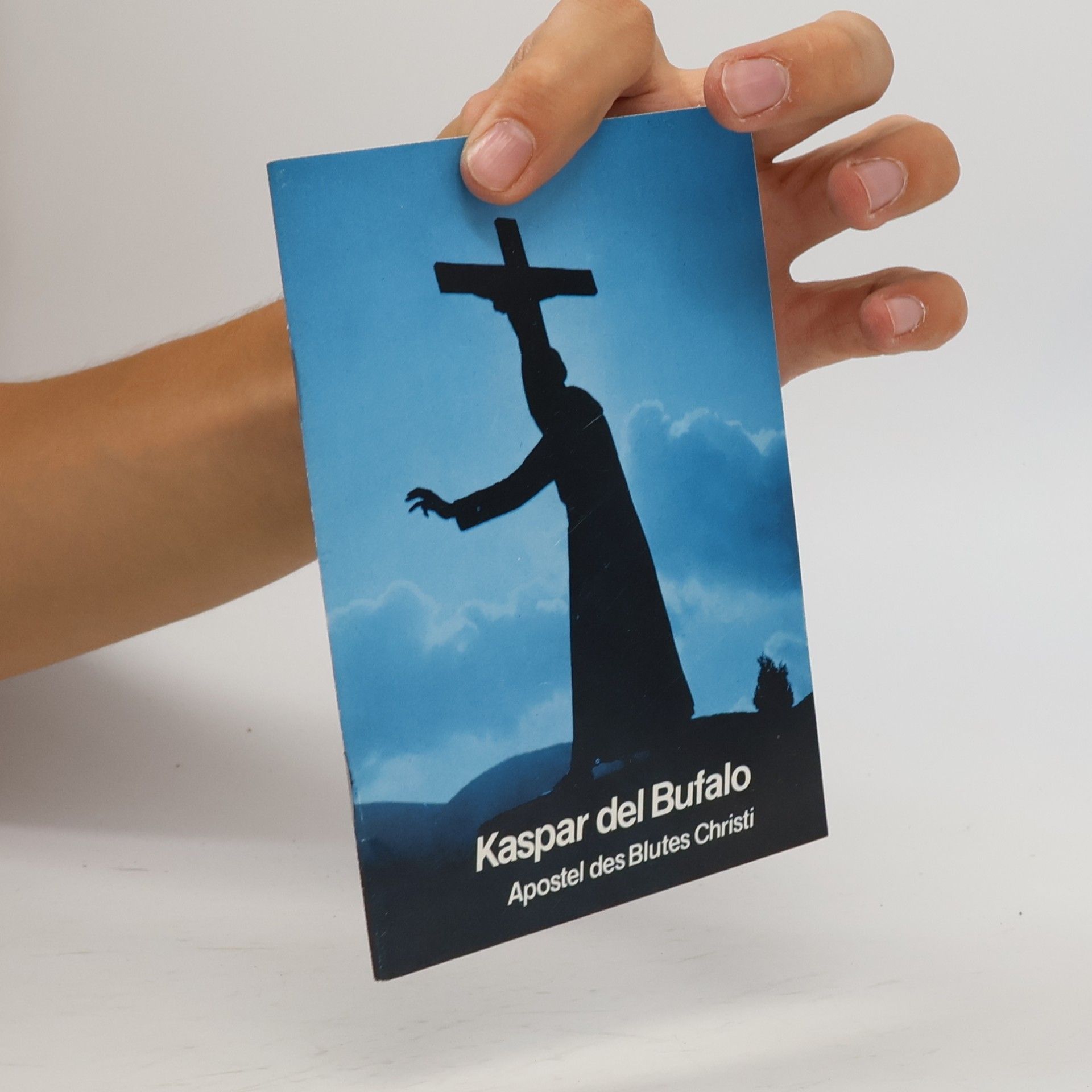 kolektiv Kaspar del Bufalo. Apostel des Blutes Christi