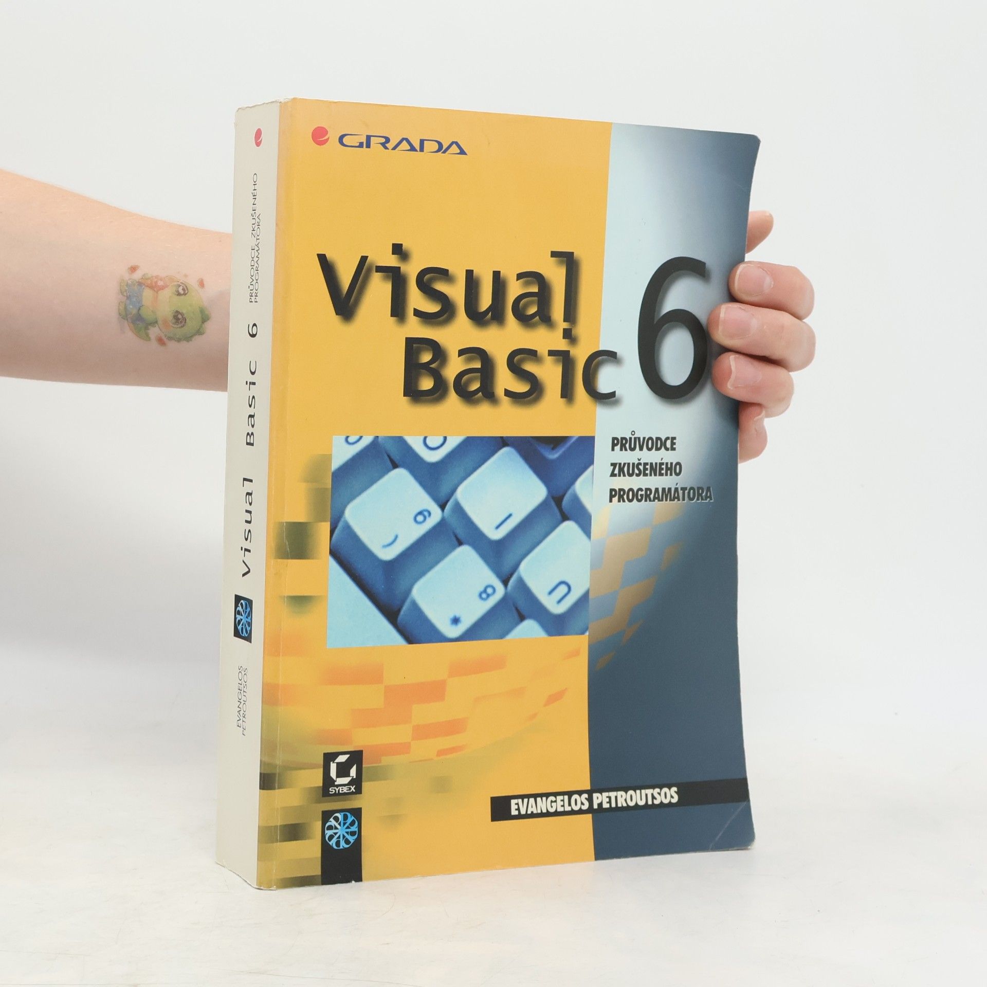 Evangelos Petroutsos Visual Basic 6 : průvodce zkušeného programátora