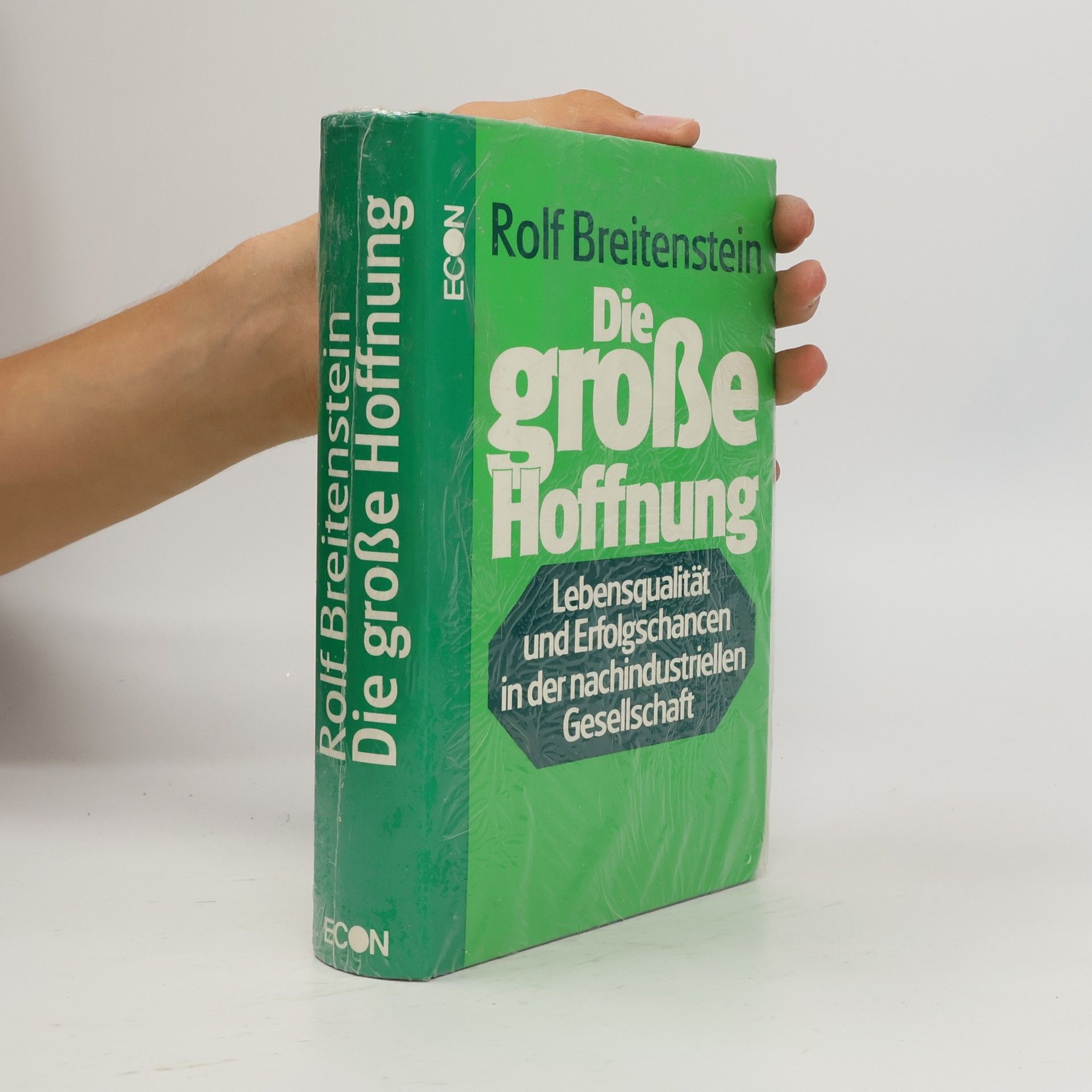 Rolf Breitenstein Die große Hoffnung