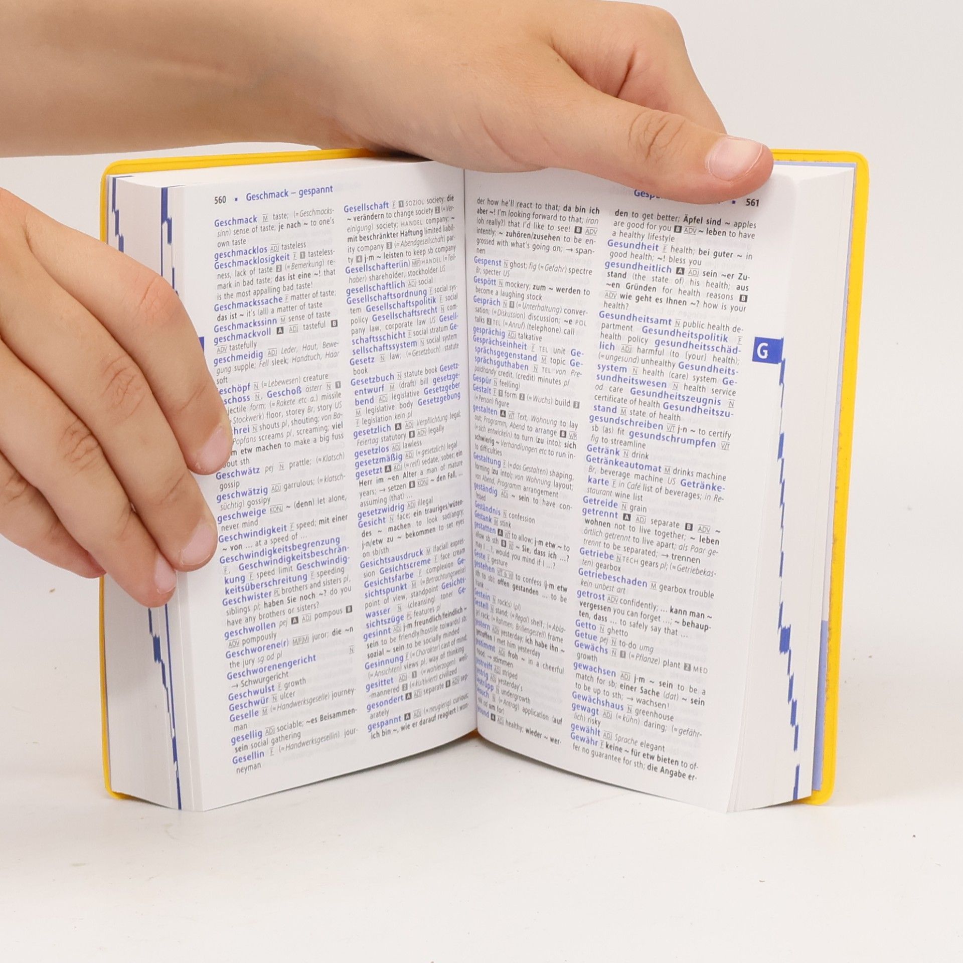 Heike Pleisteiner Langenscheidt, praktisches Wörterbuch Englisch