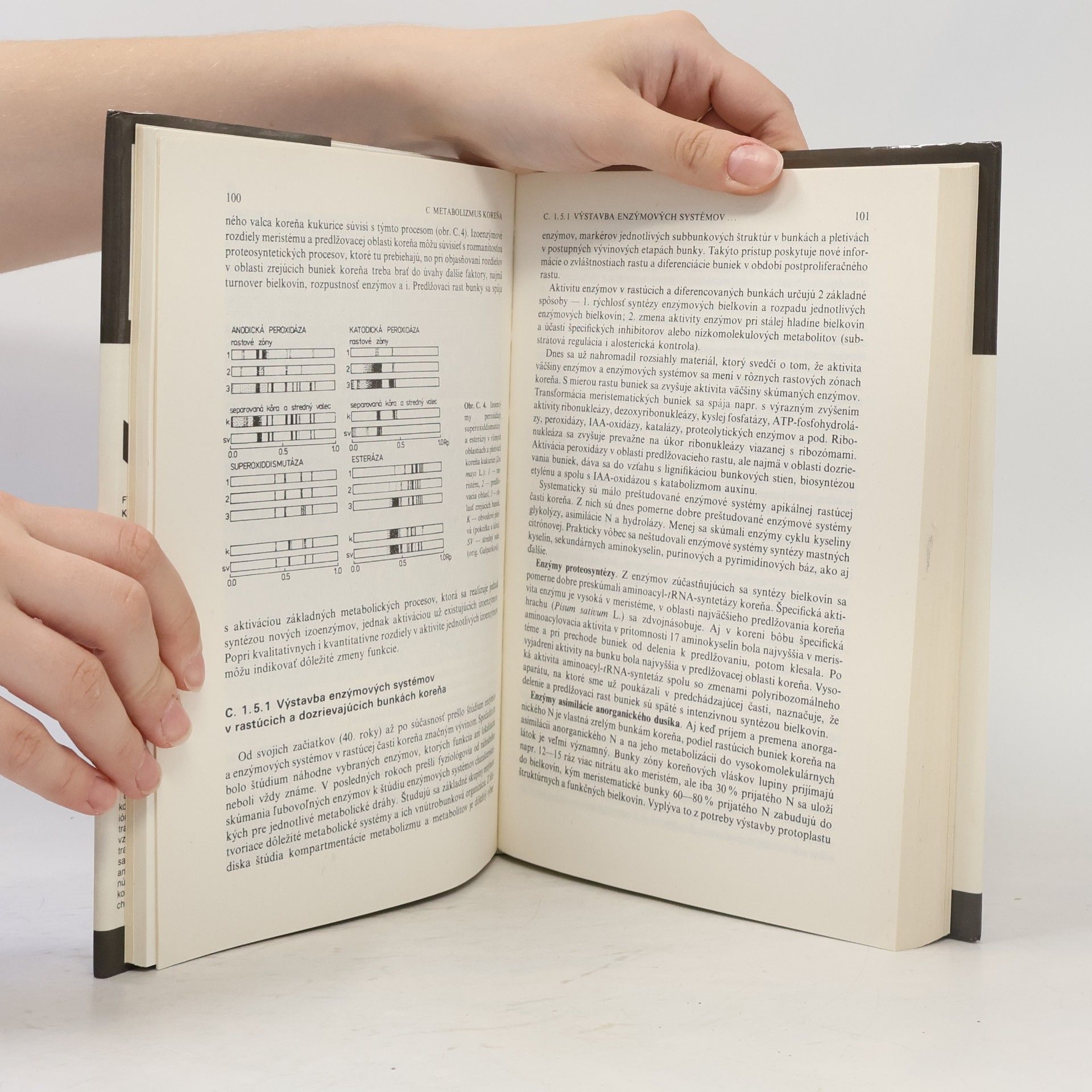 Various authors Fyziológia koreňového systému rastlín