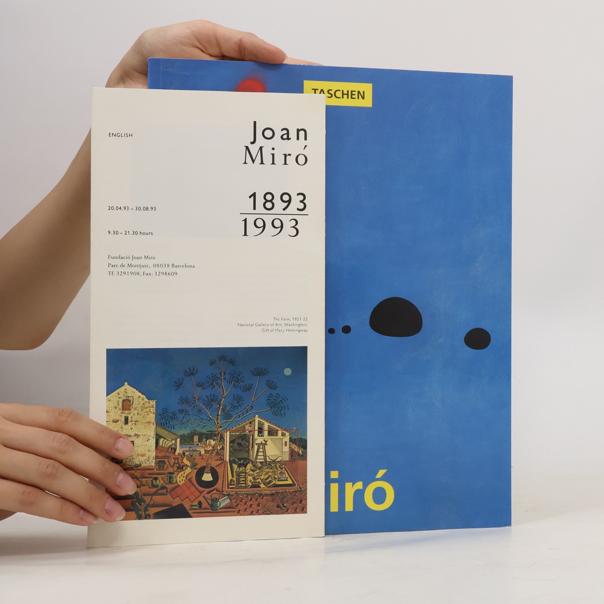 Janis Mink Joan Miró