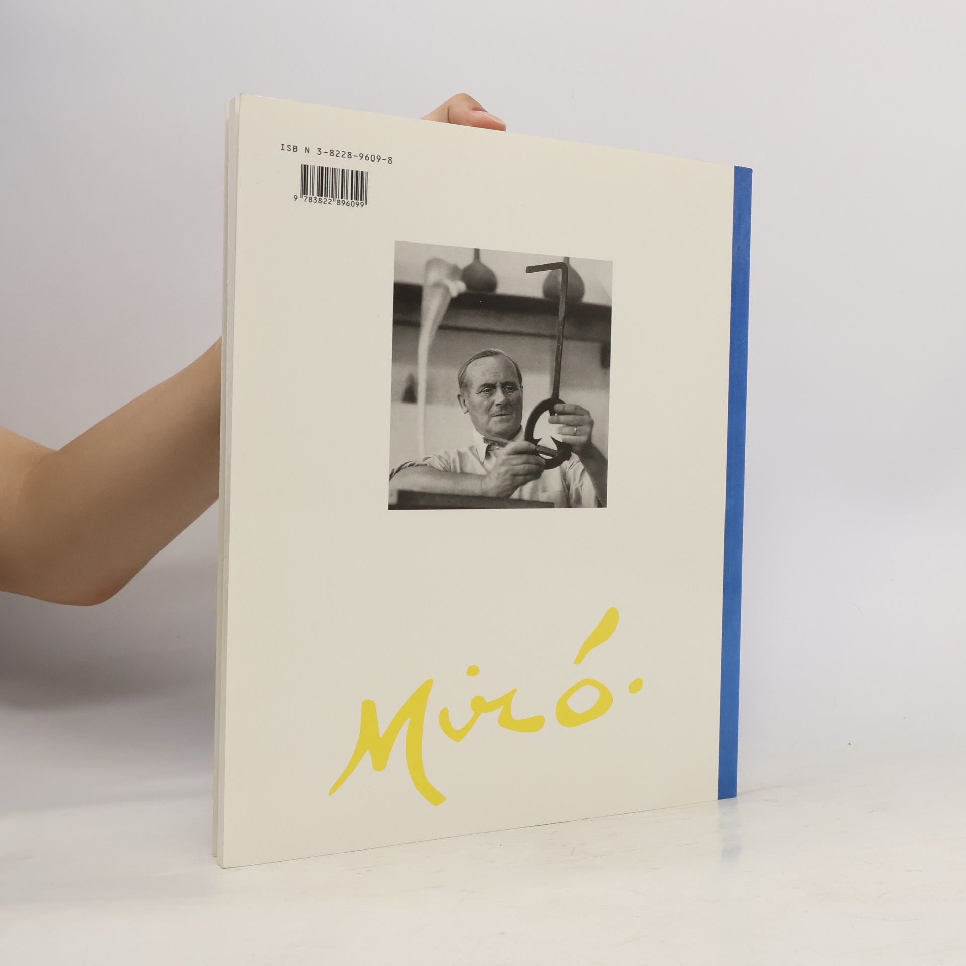 Janis Mink Joan Miró