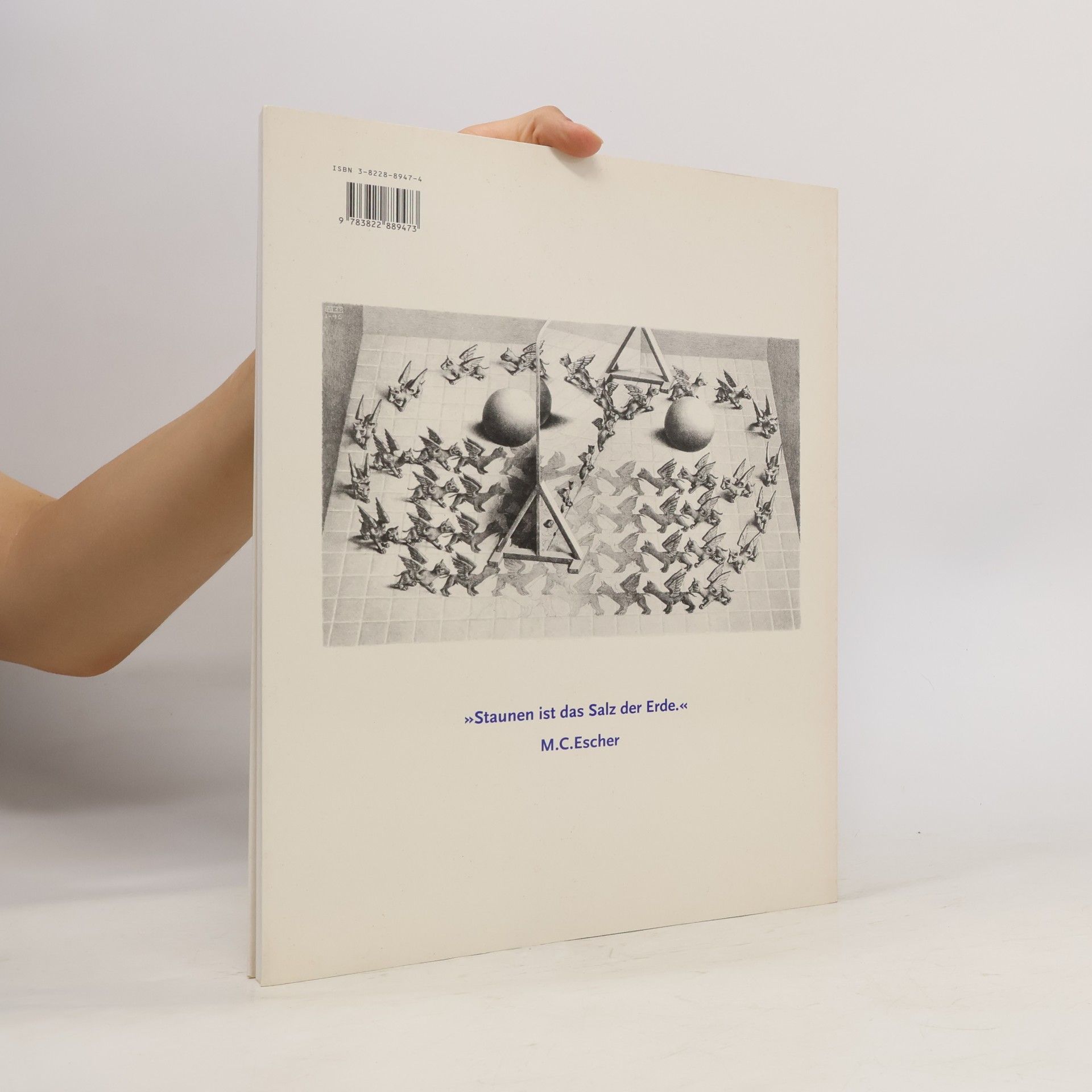 Bruno Ernst Der Zauberspiegel des M.C. Escher