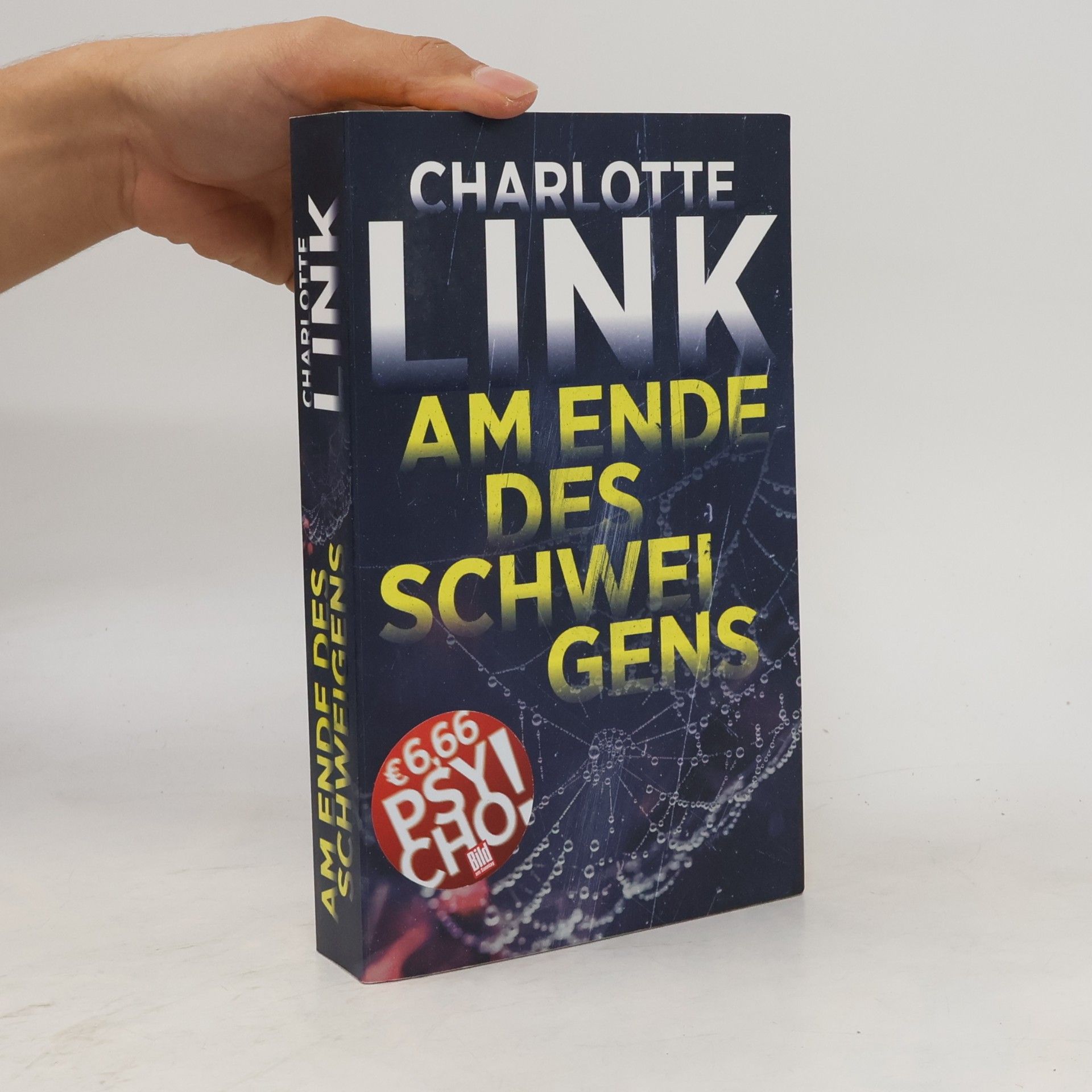 Charlotte Link Am Ende des Schweigens